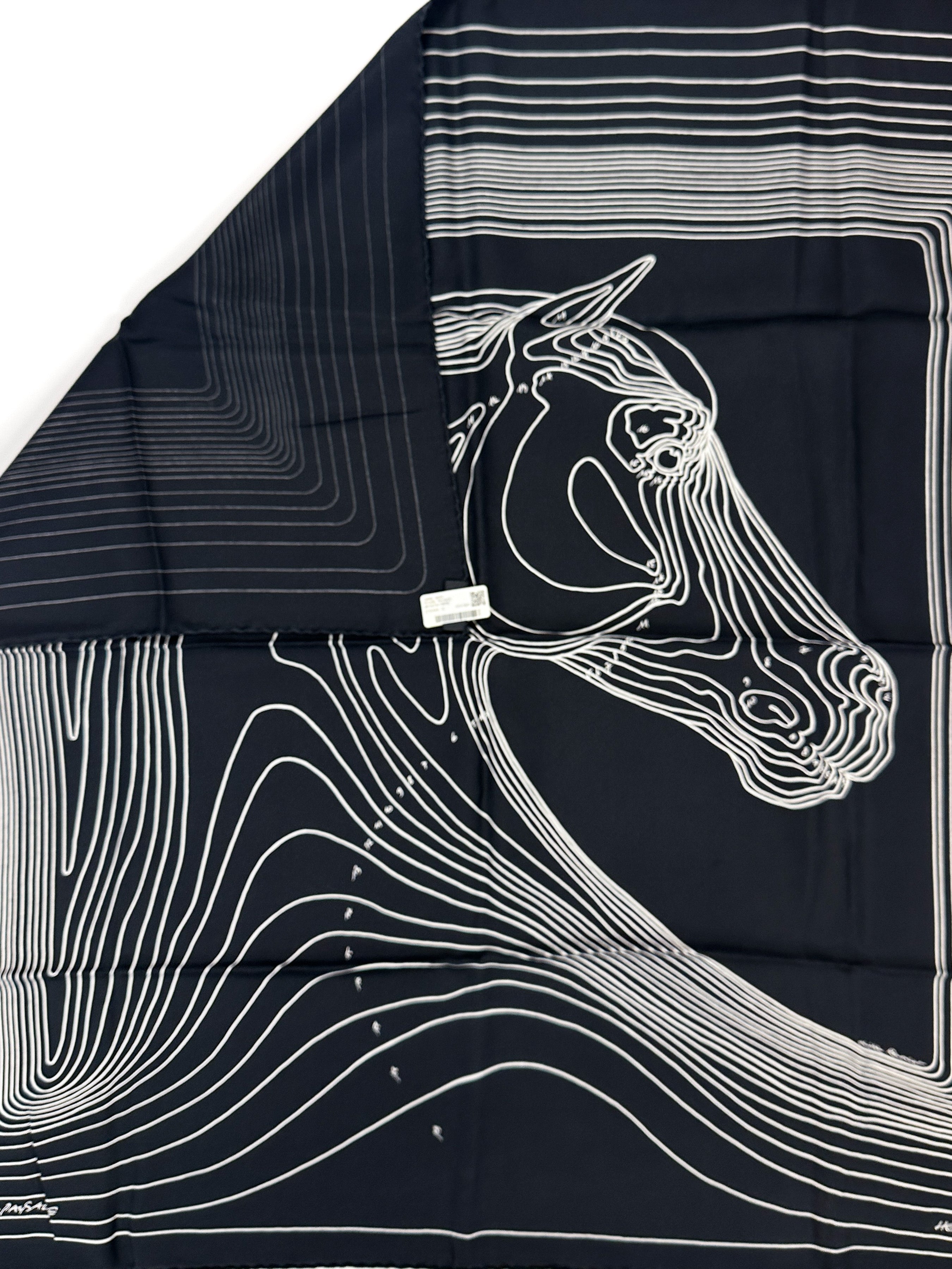 Hermès Pégase Paysage Wash 90