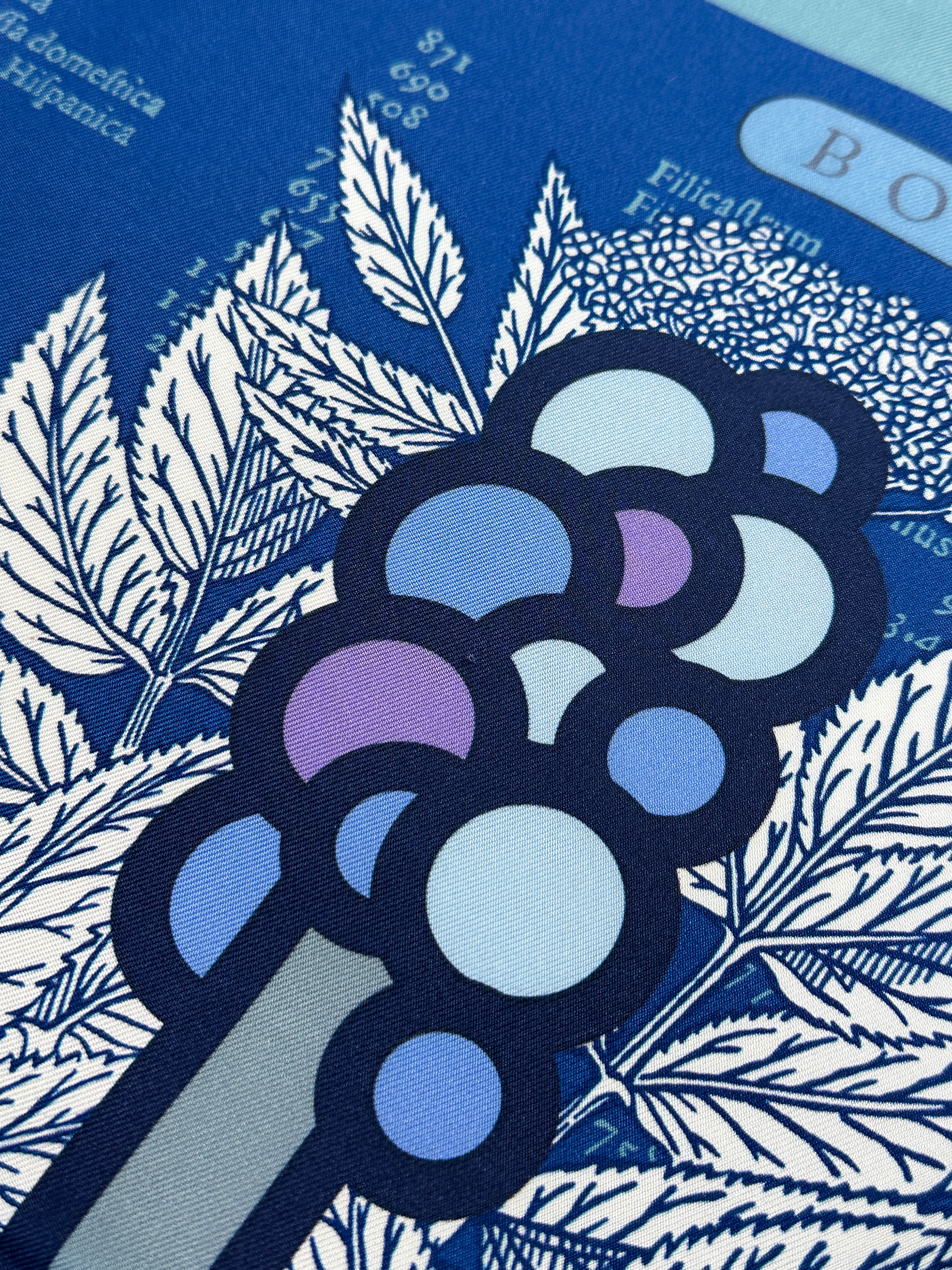 Hermès Botanica Grafica Double Face 90