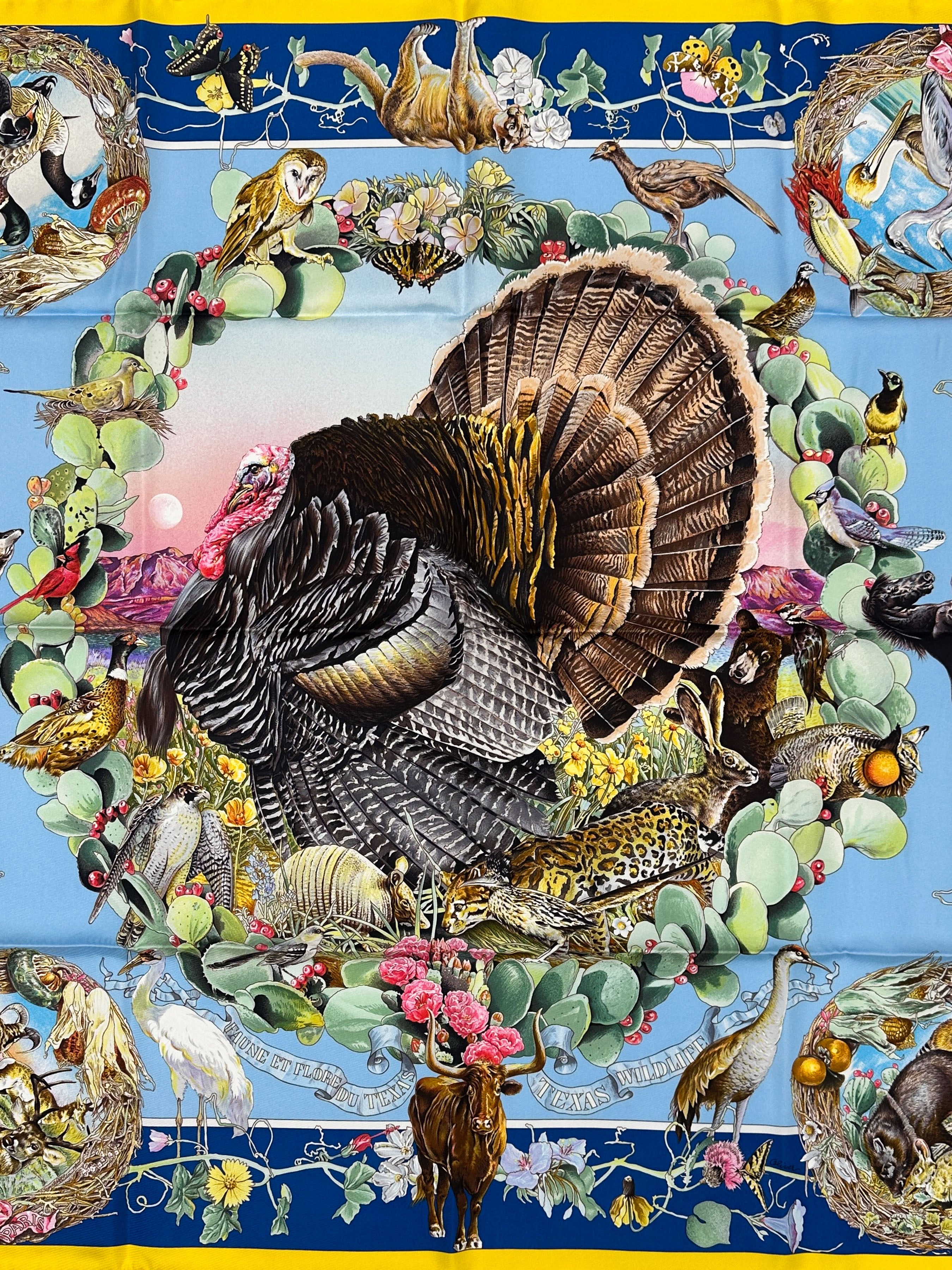 Hermès Faune et Flore du Texas Forever 90
