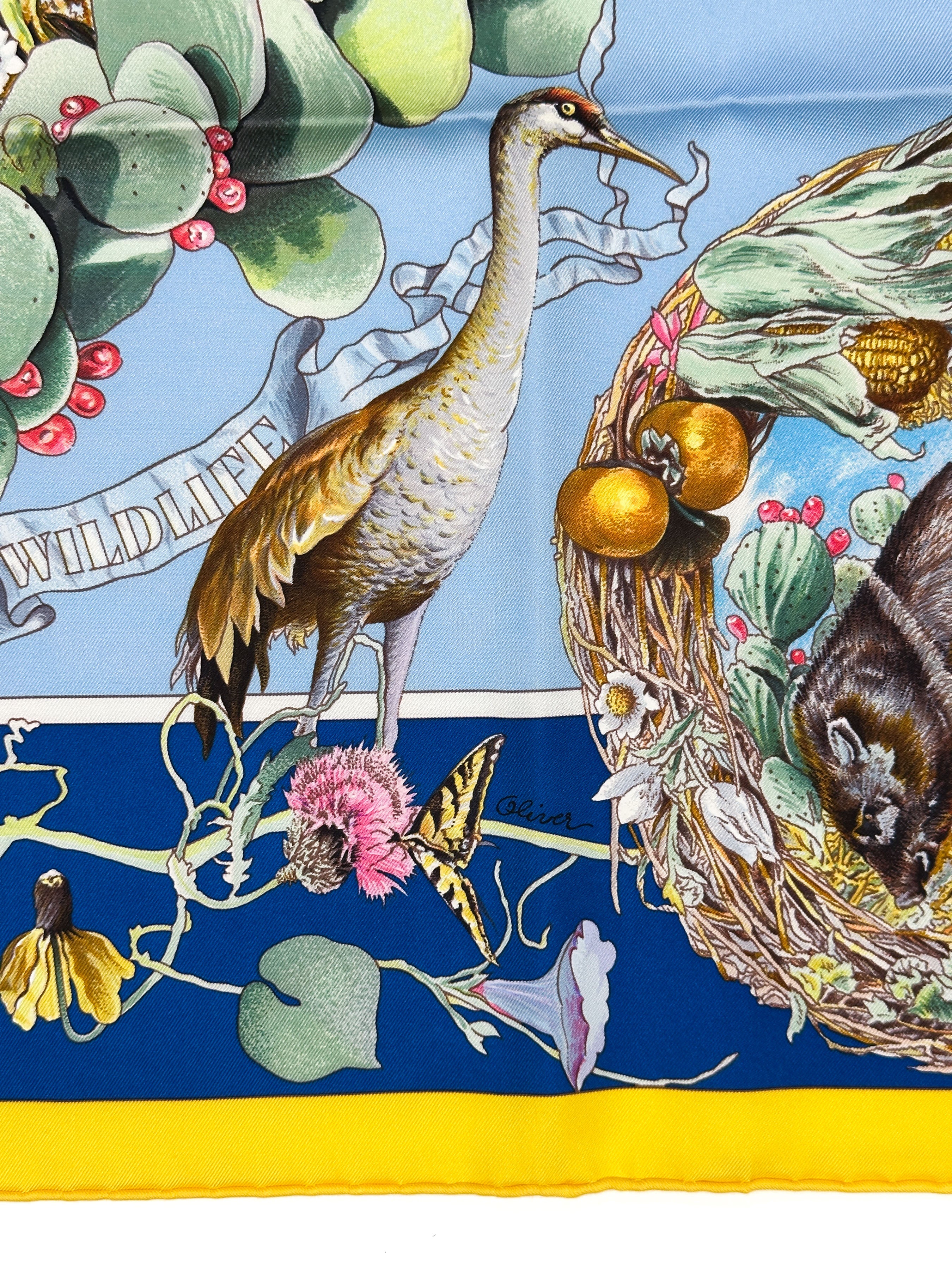 Hermès Faune et Flore du Texas Forever 90
