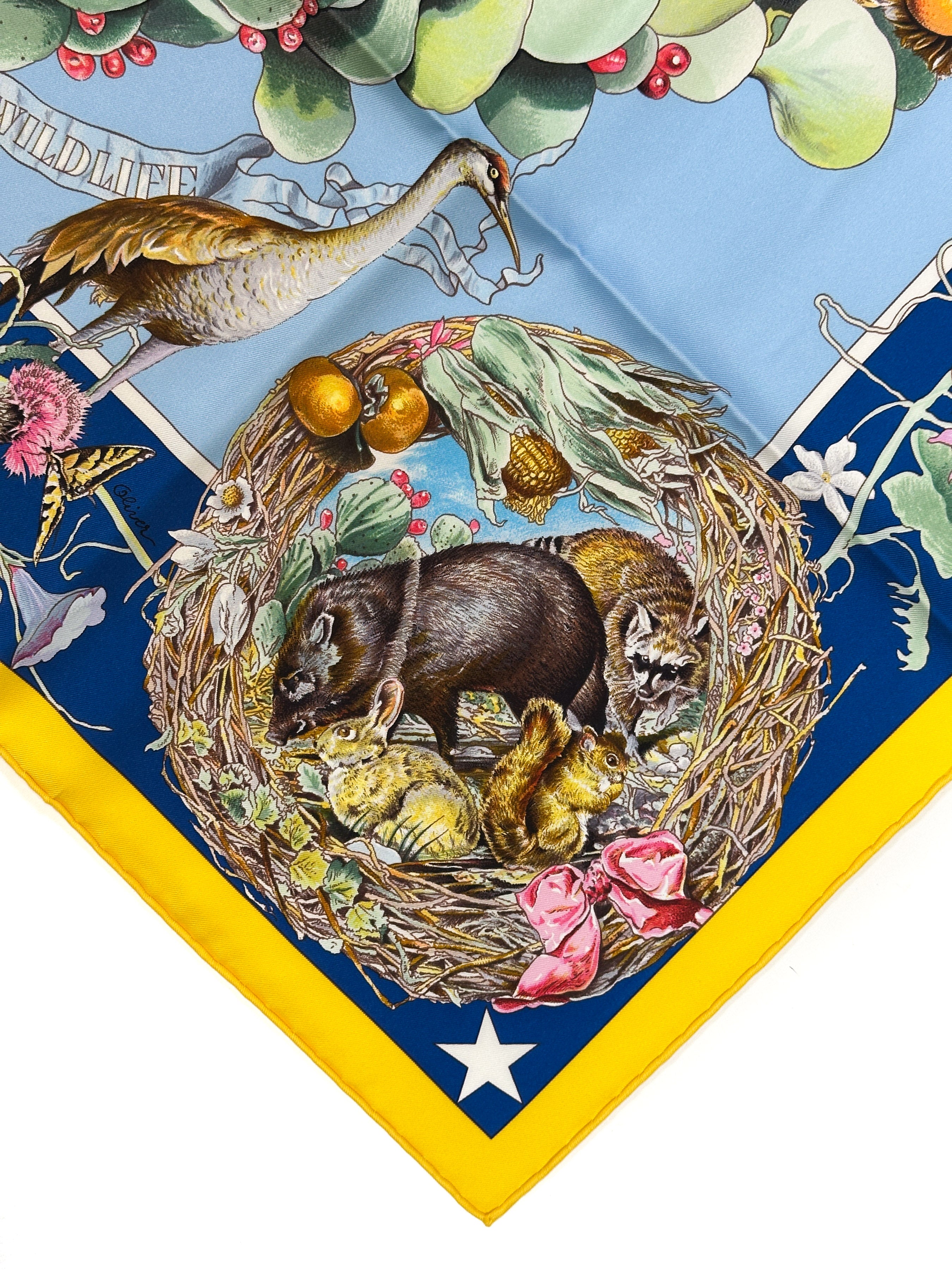 Hermès Faune et Flore du Texas Forever 90