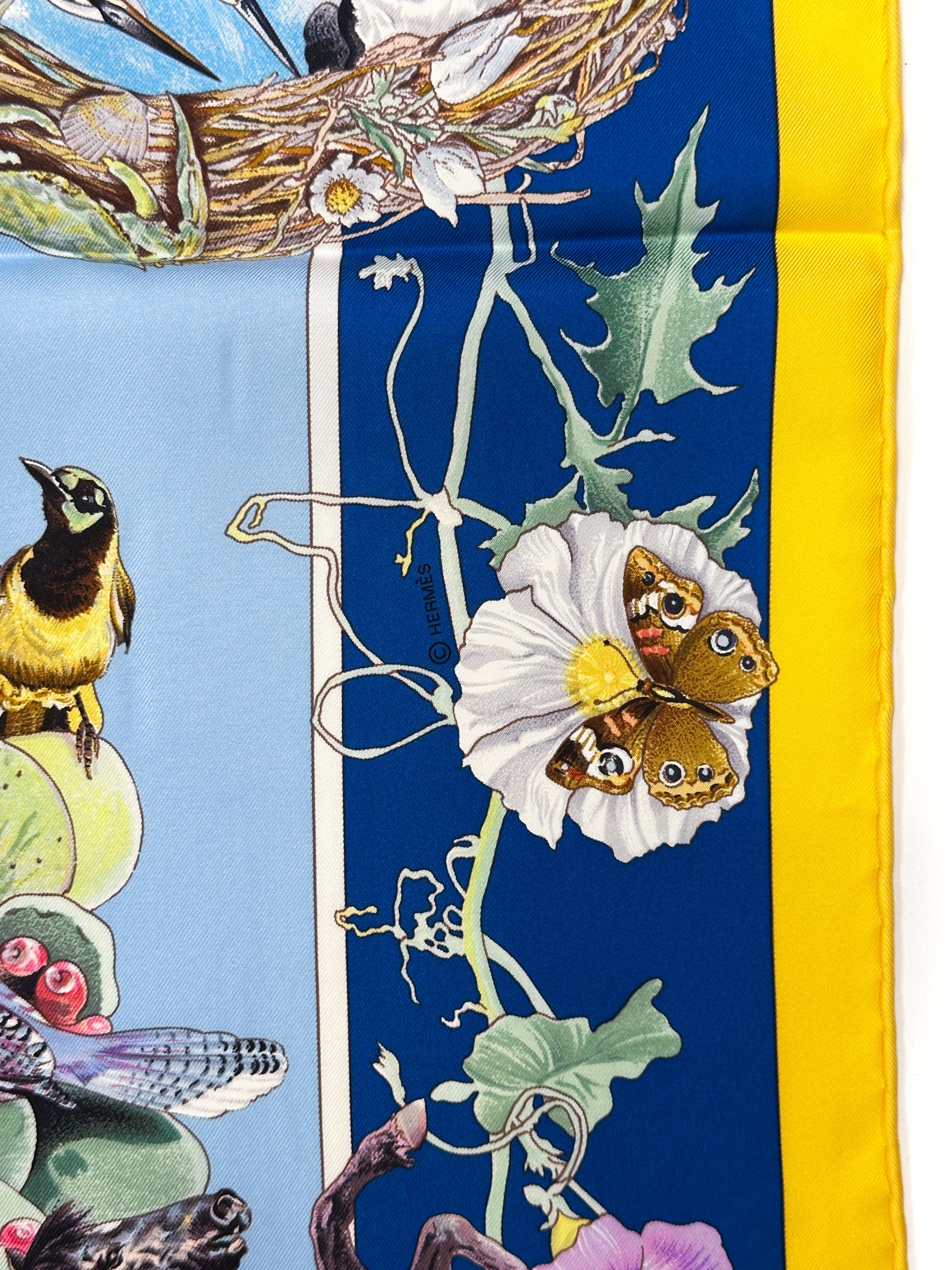 Hermès Faune et Flore du Texas Forever 90