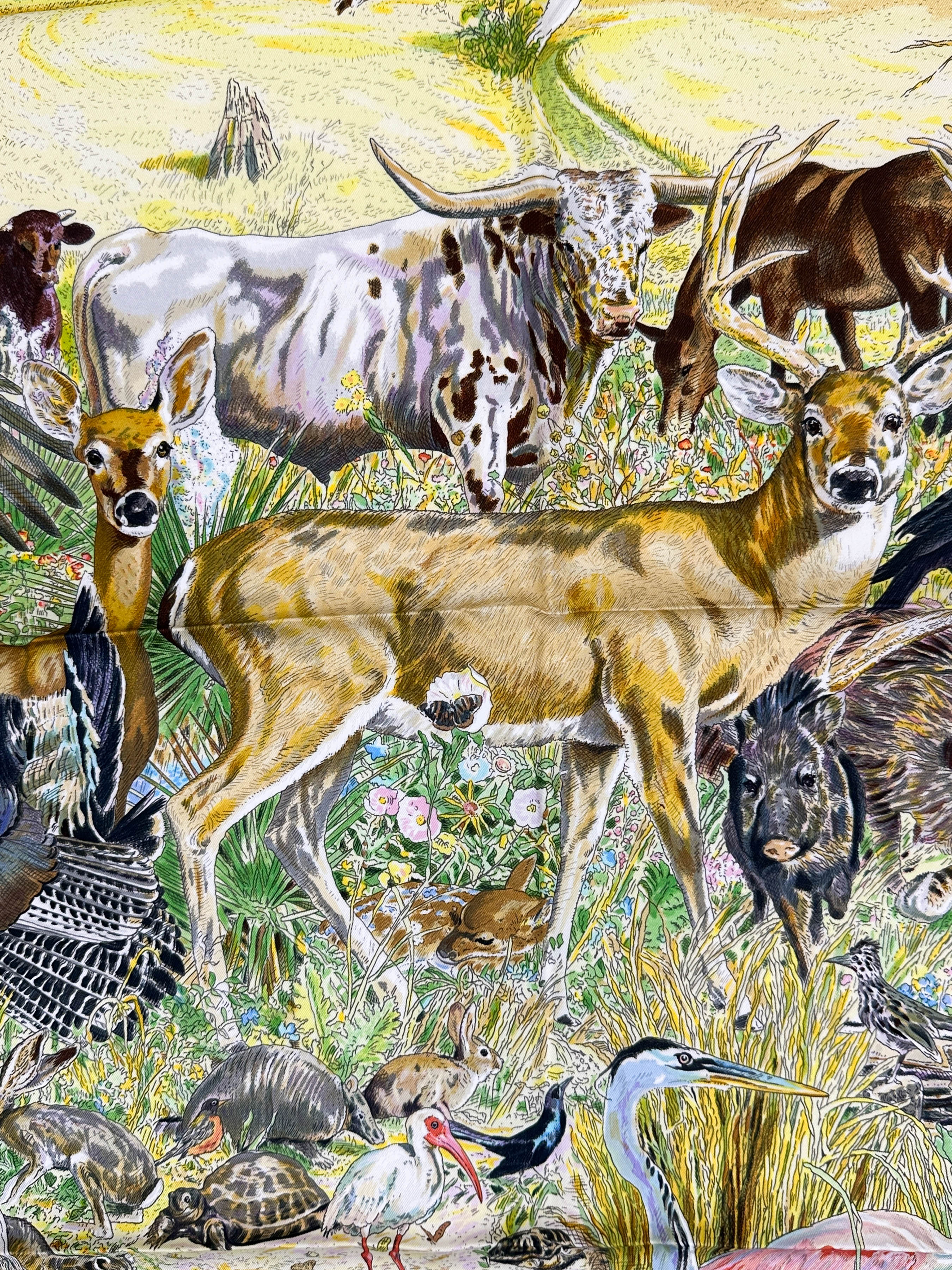 Hermès La Vie Sauvage du Texas 90