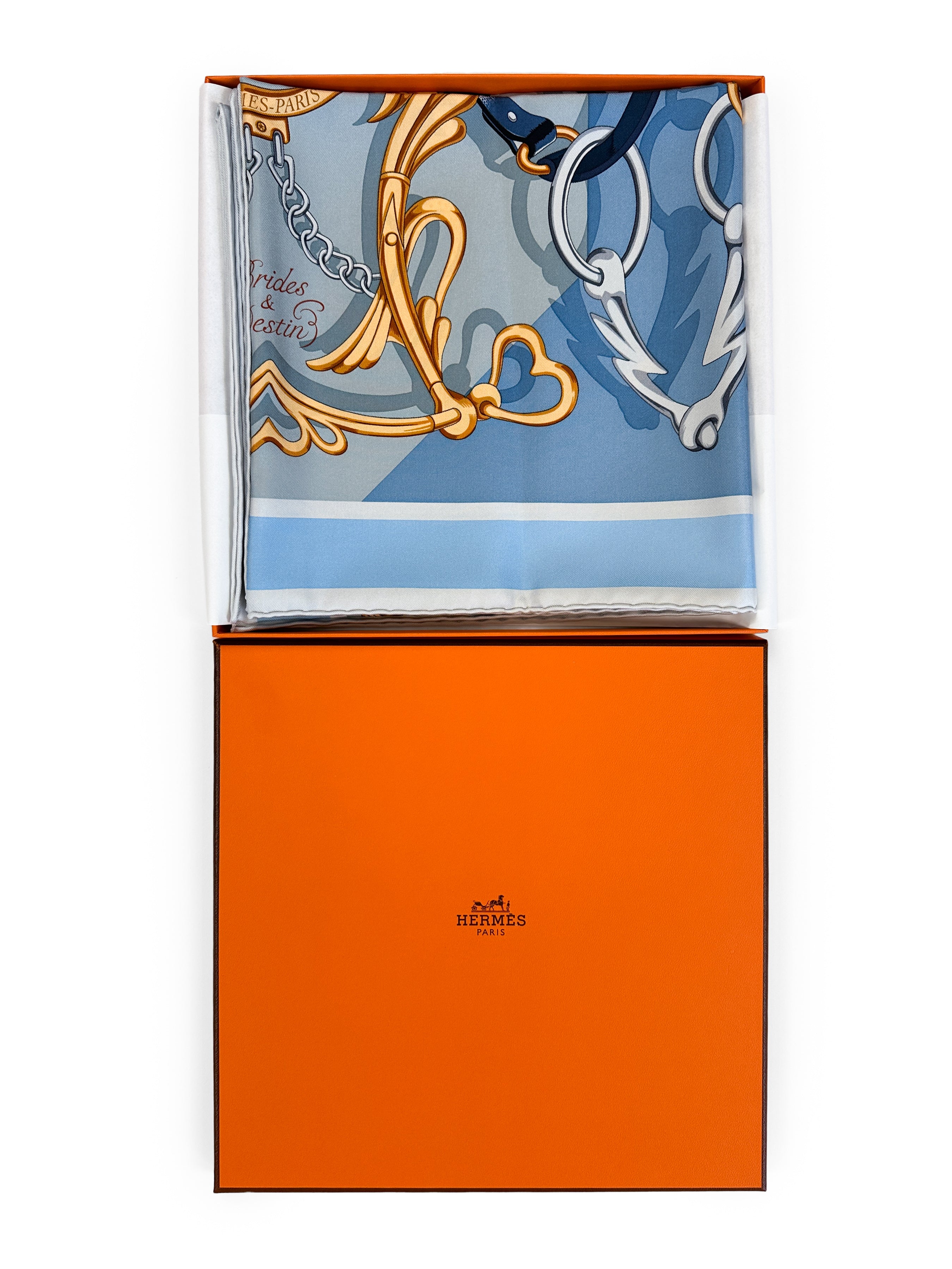 Hermès Brides et Destin 90