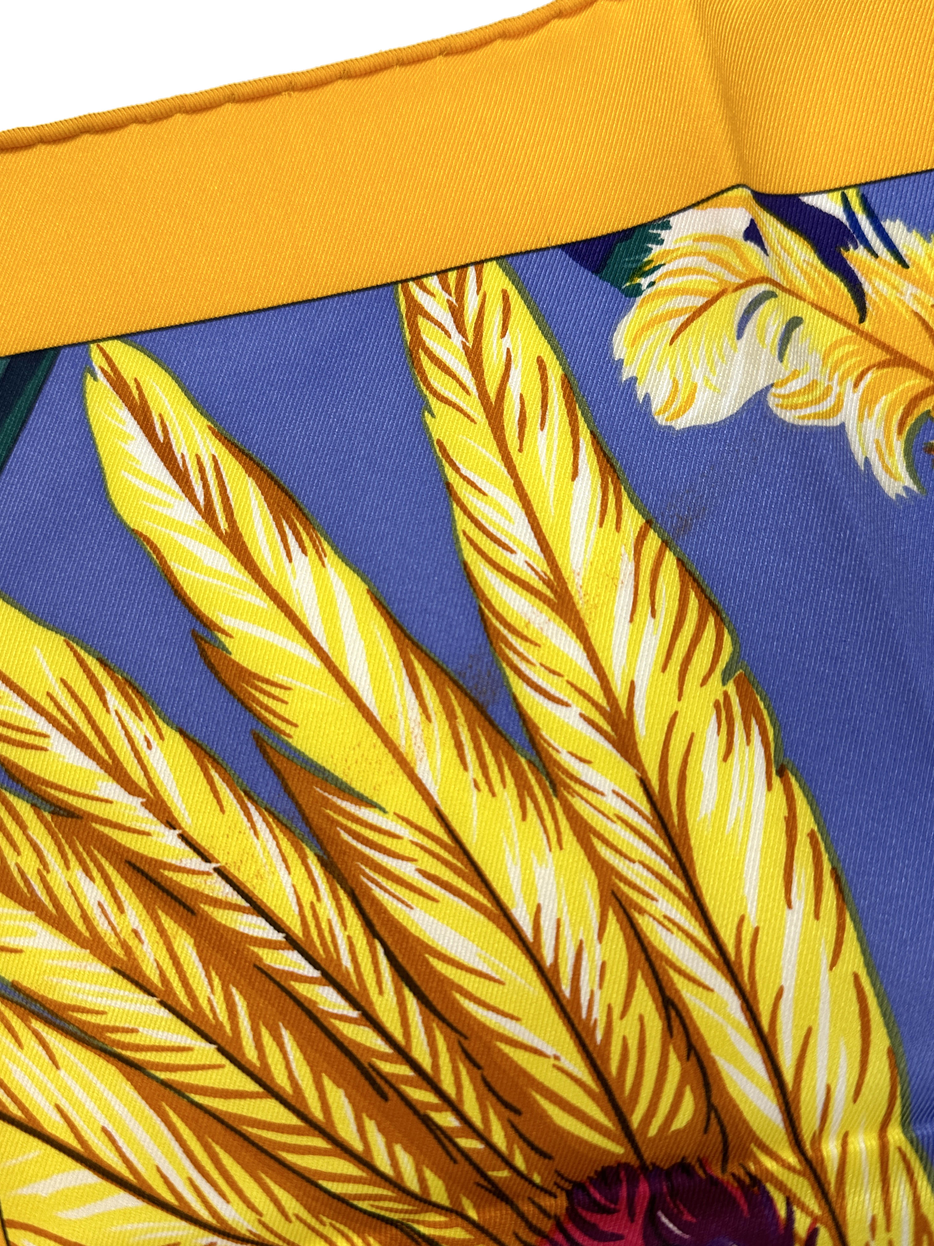 Hermès Brazil Detail 70