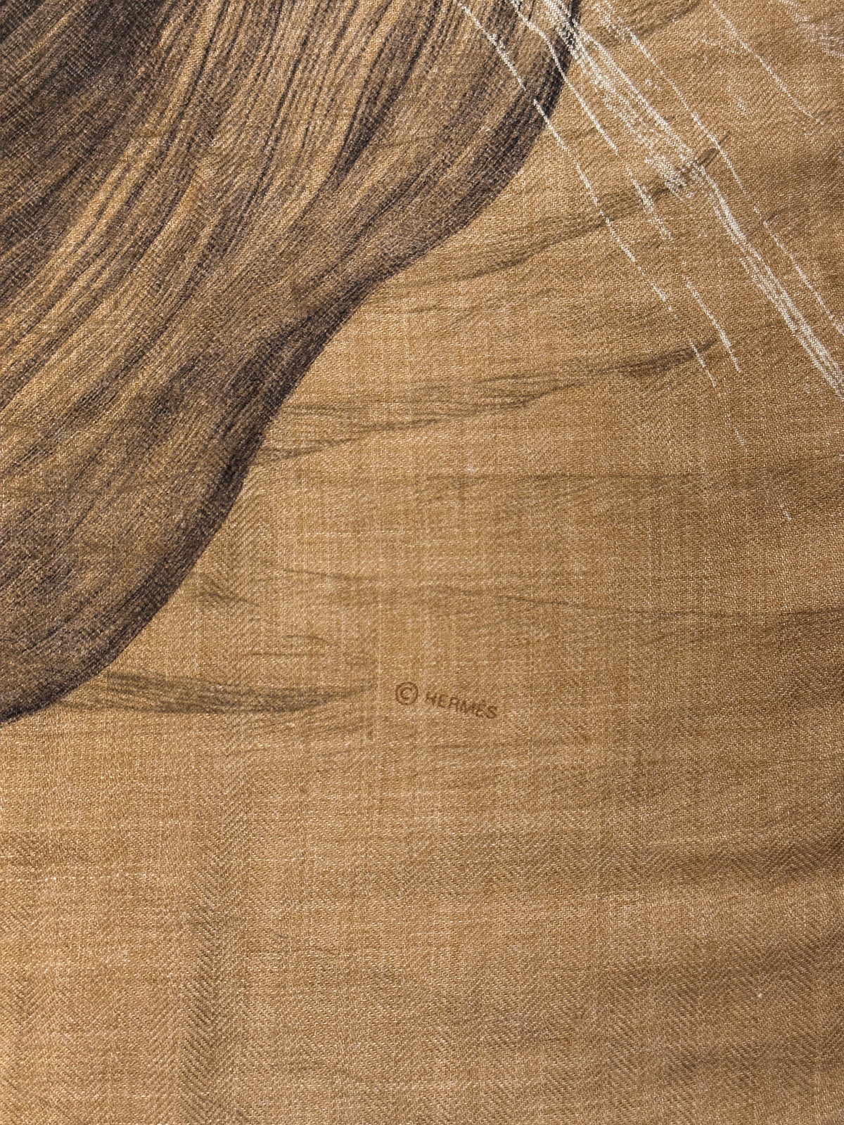 Hermès Les Ailes De Pegase Cashmere Silk 100