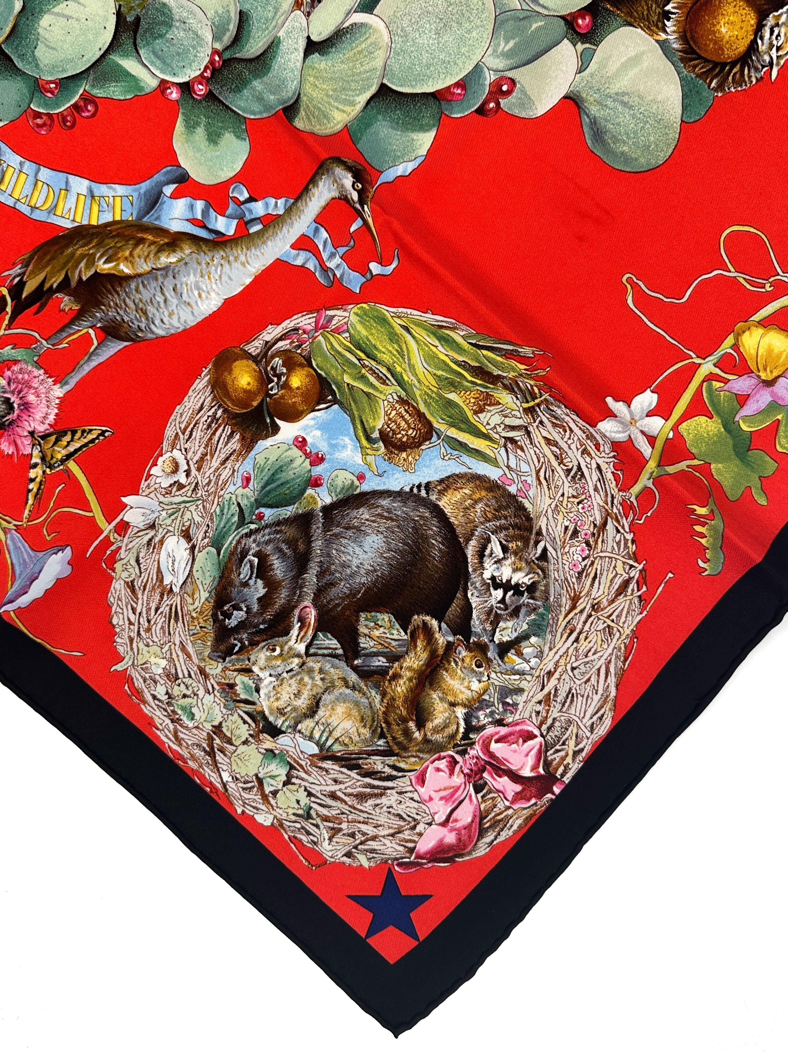 Hermès Faune et Flore du Texas 90