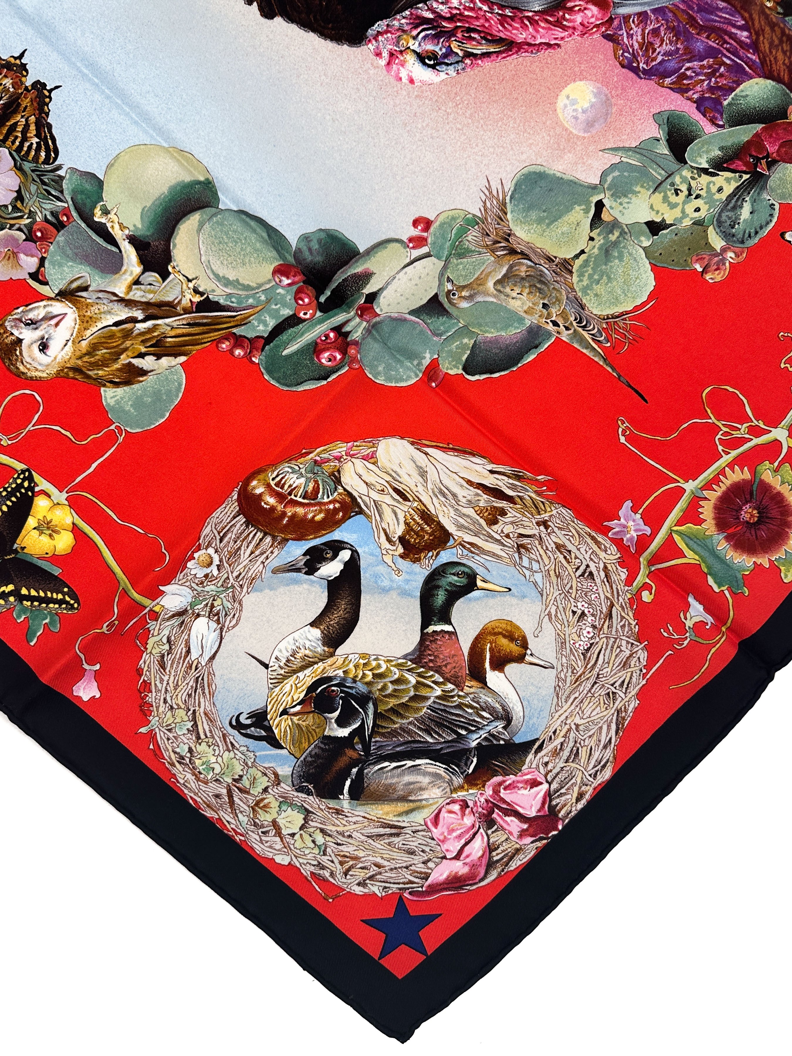 Hermès Faune et Flore du Texas 90