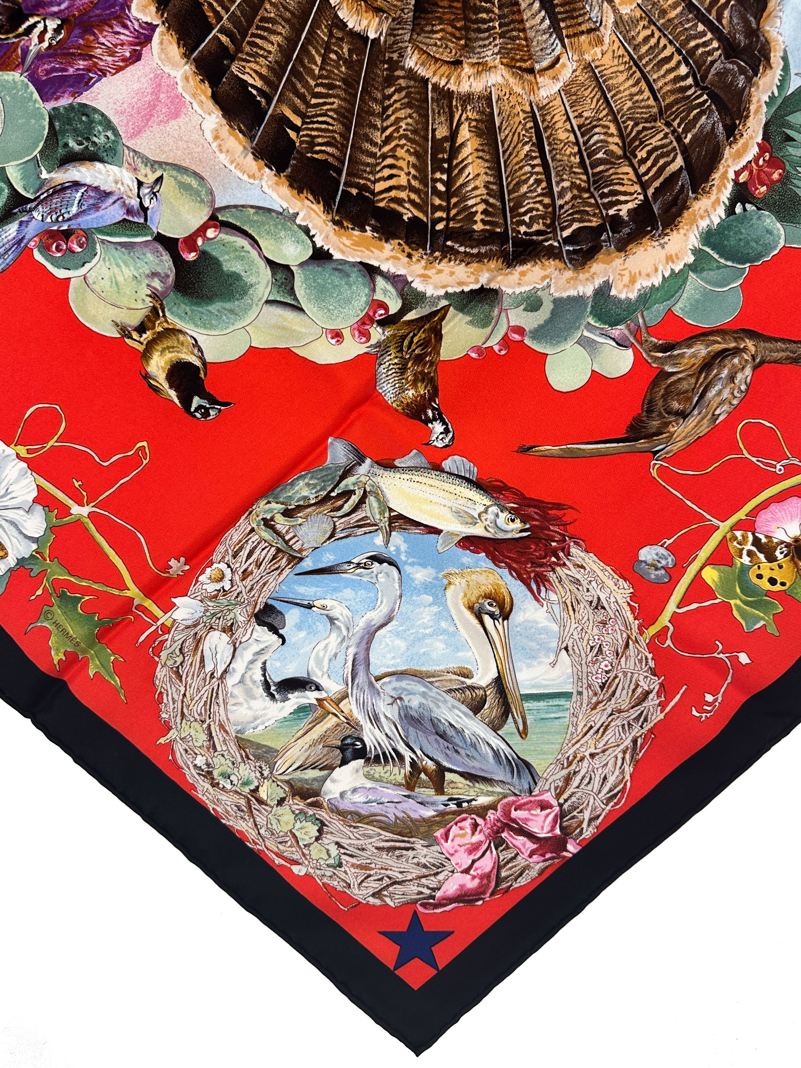 Hermès Faune et Flore du Texas 90