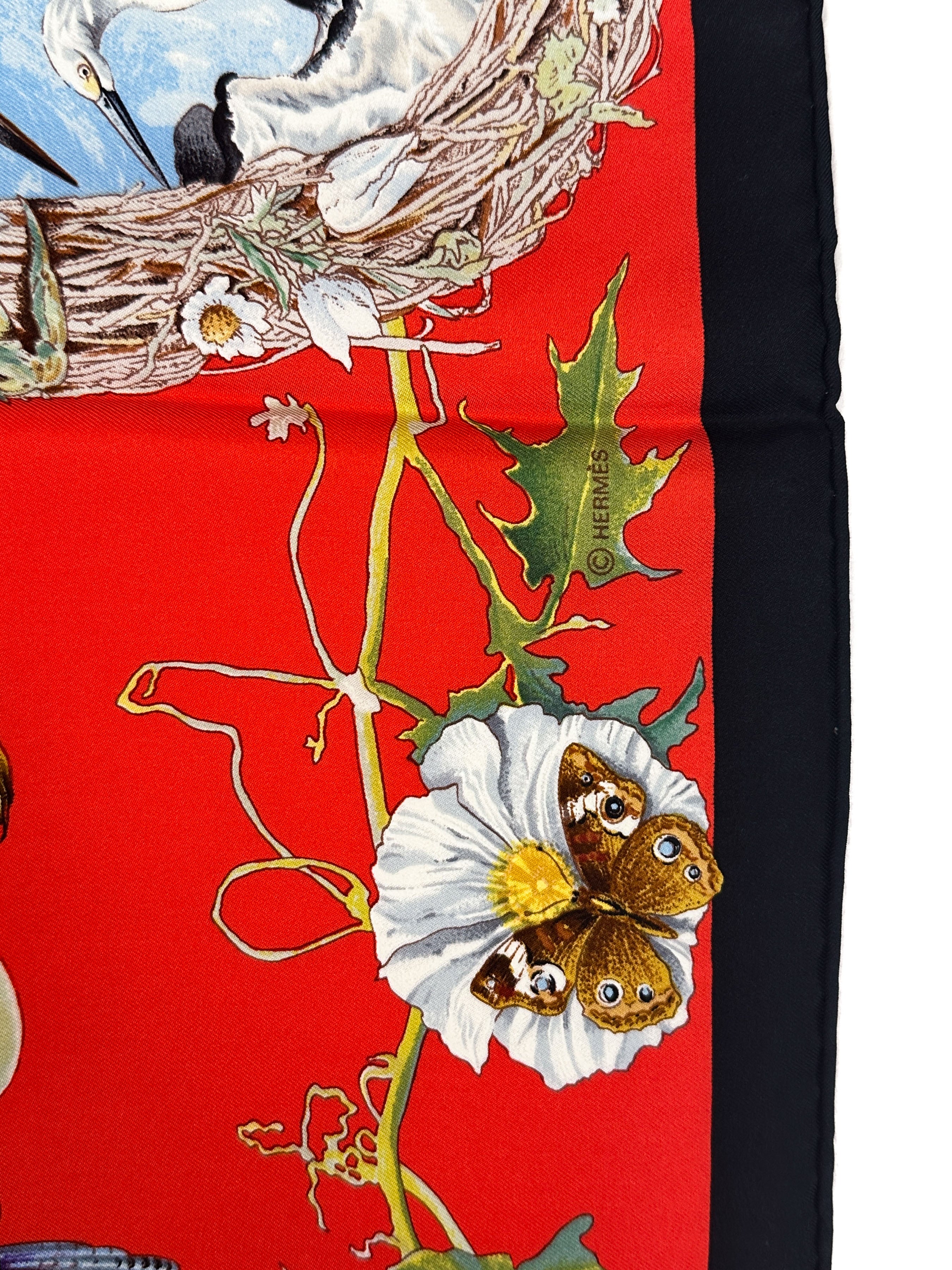 Hermès Faune et Flore du Texas 90