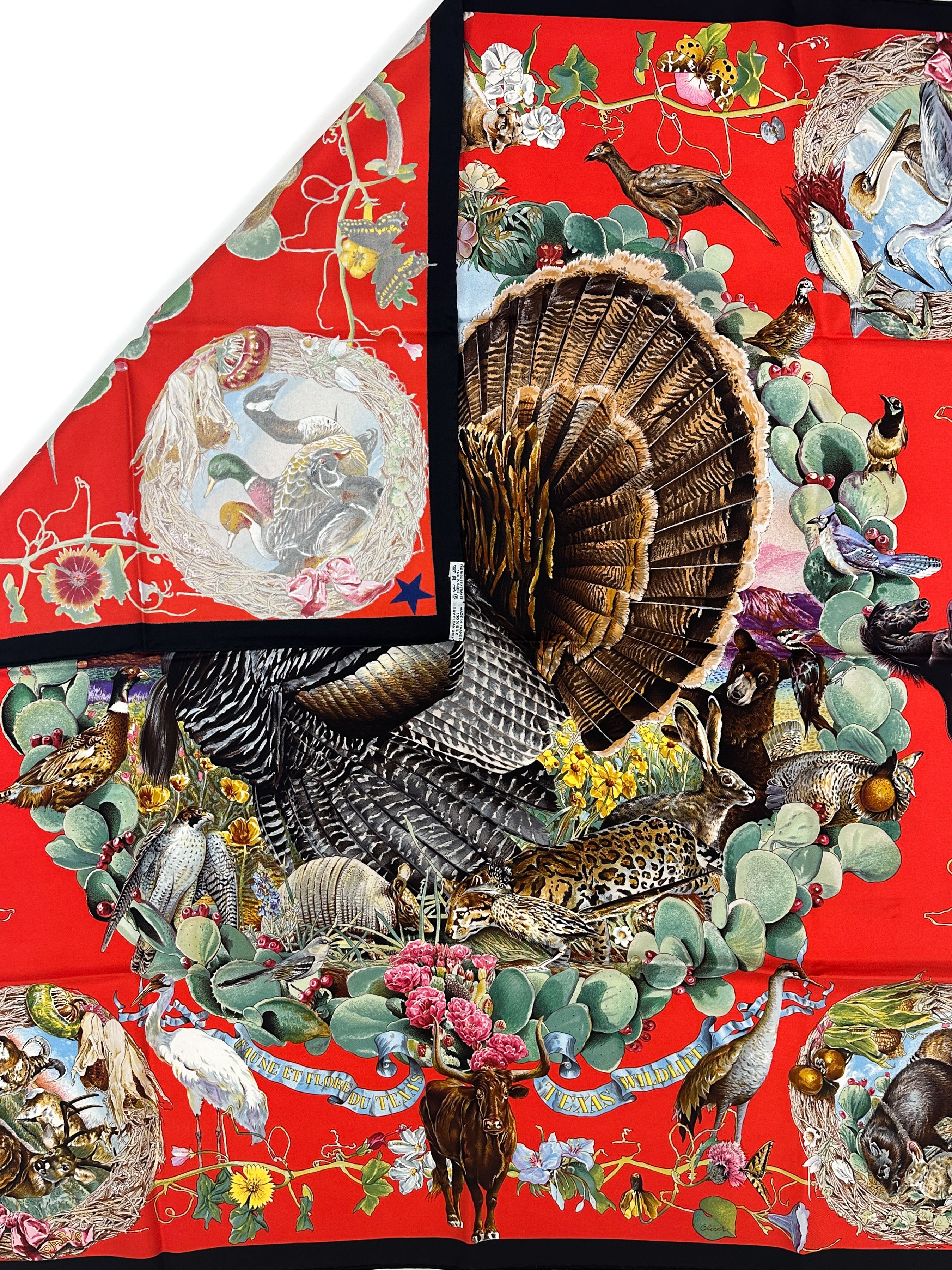 Hermès Faune et Flore du Texas 90