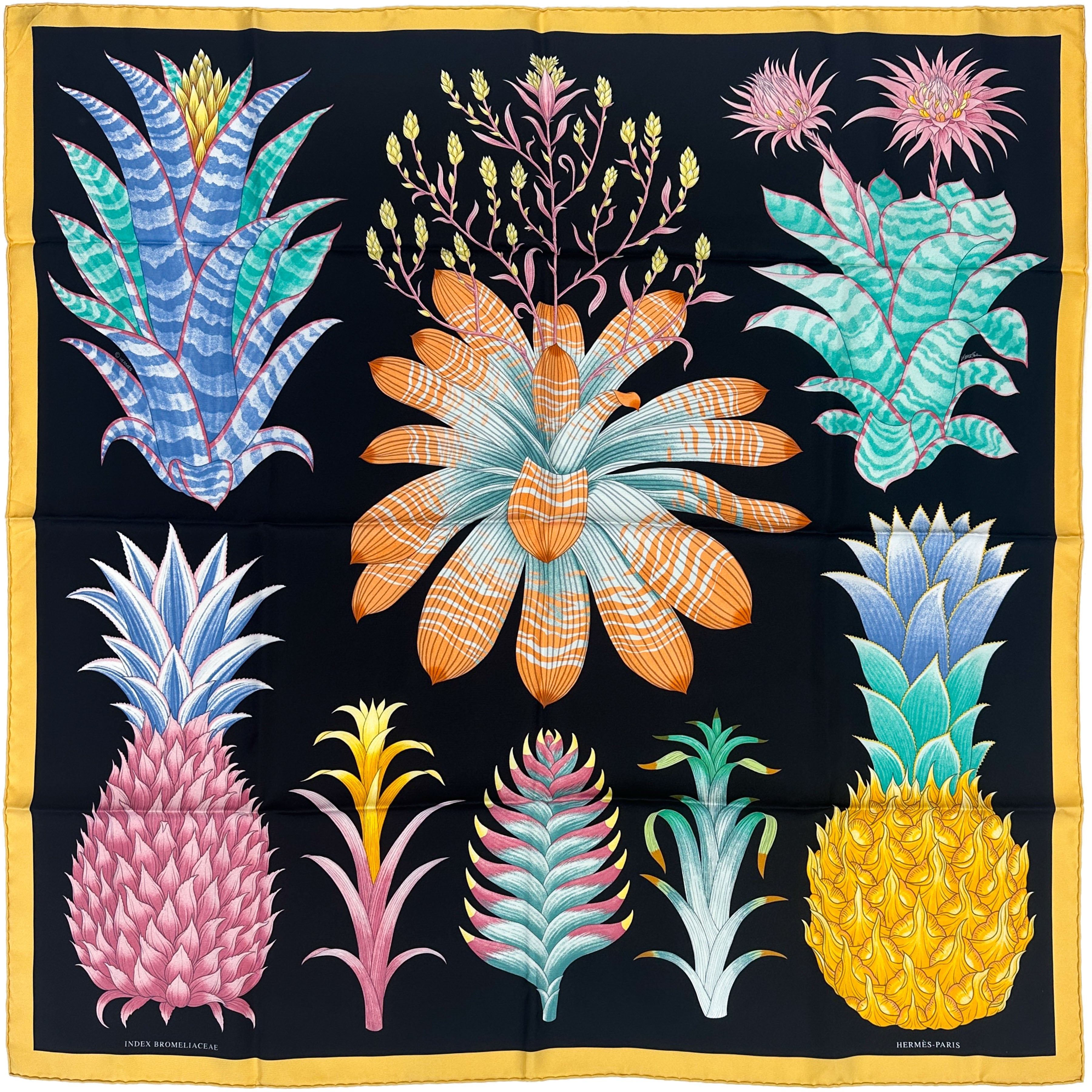 Hermès Index Bromeliaceae 90