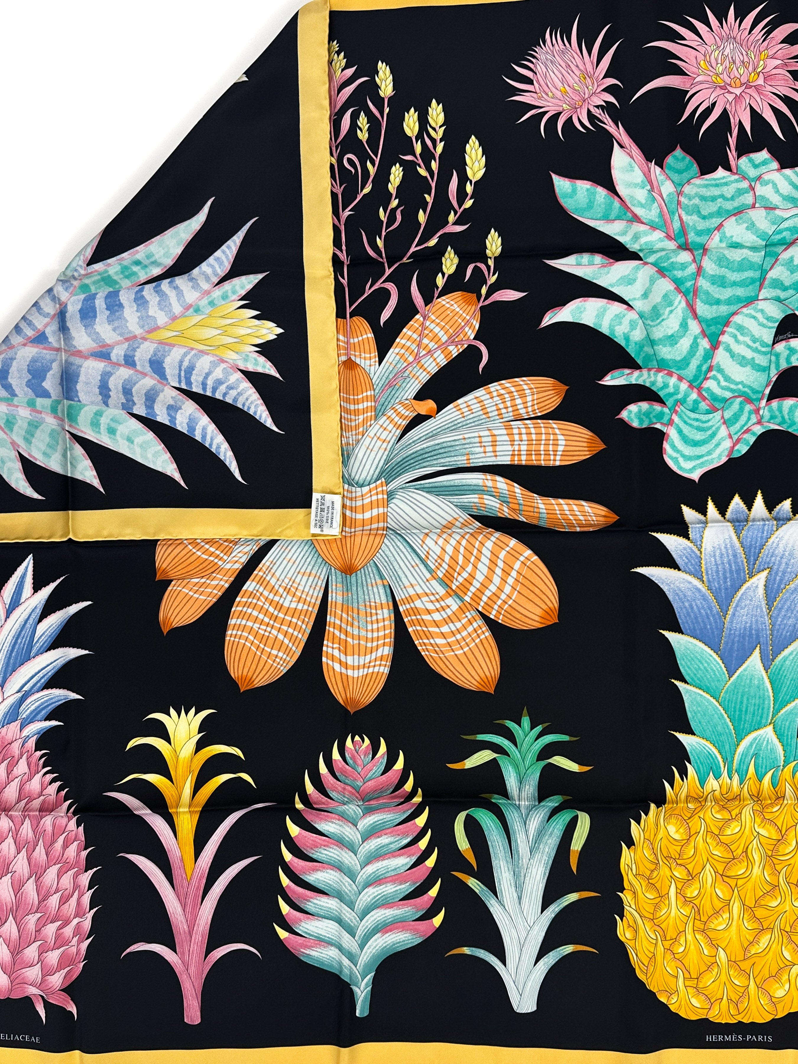 Hermès Index Bromeliaceae 90