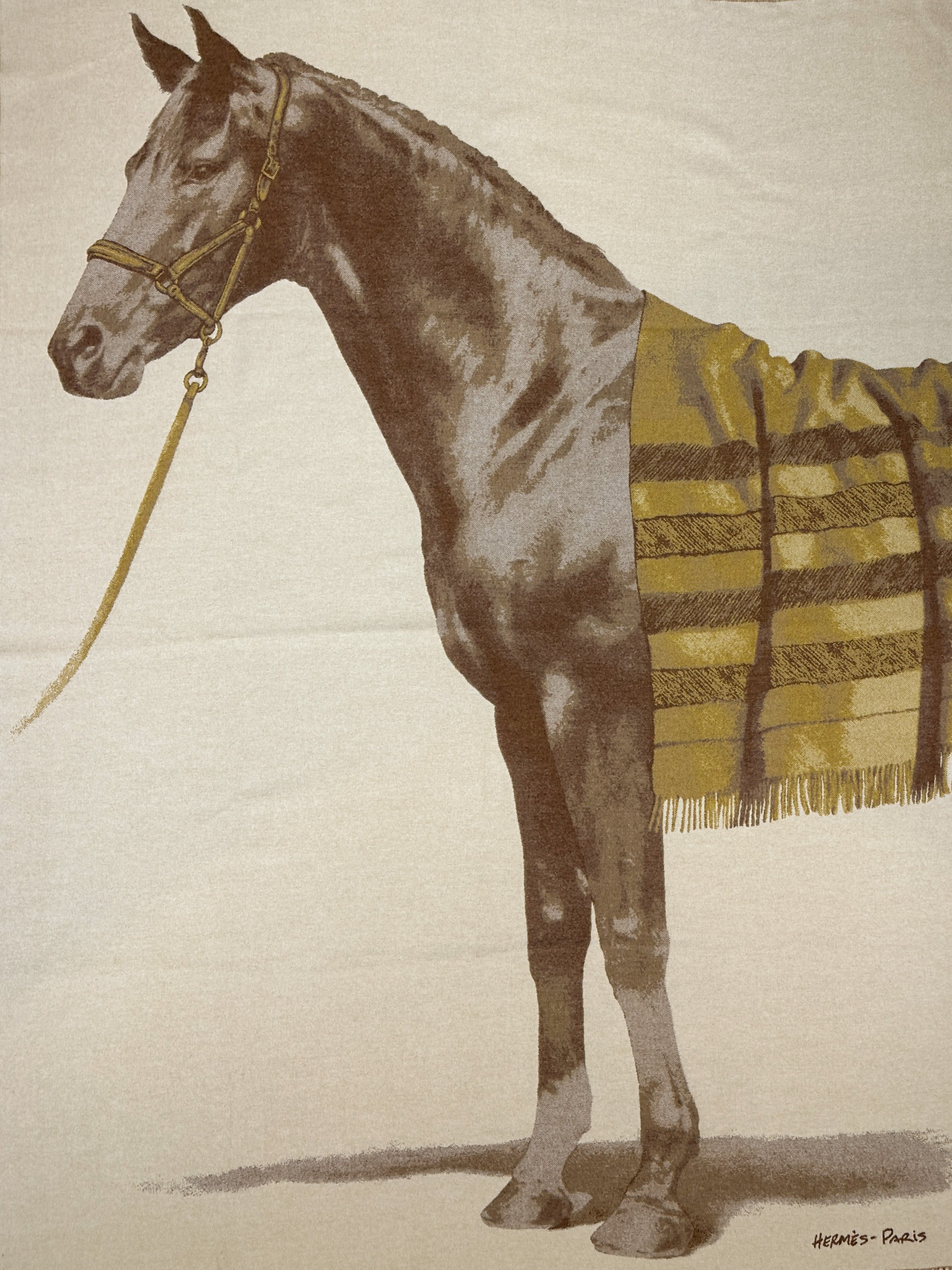 Hermès Cheval Talaria Cashmere Blanket