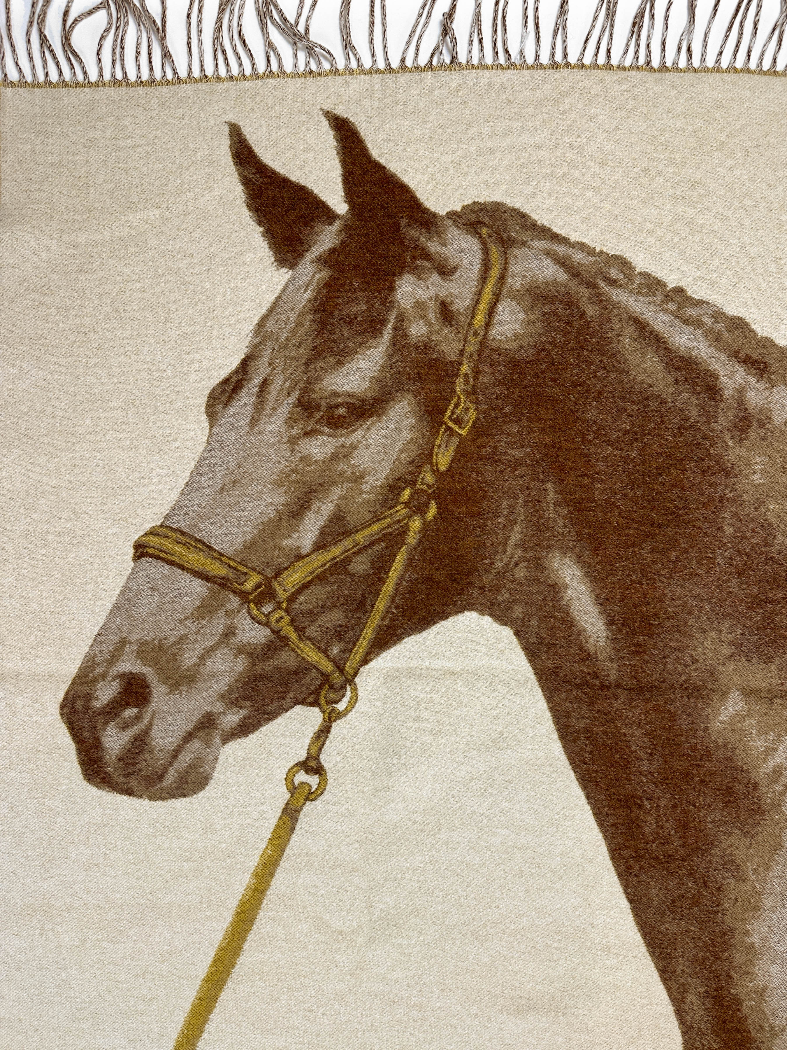 Hermès Cheval Talaria Cashmere Blanket