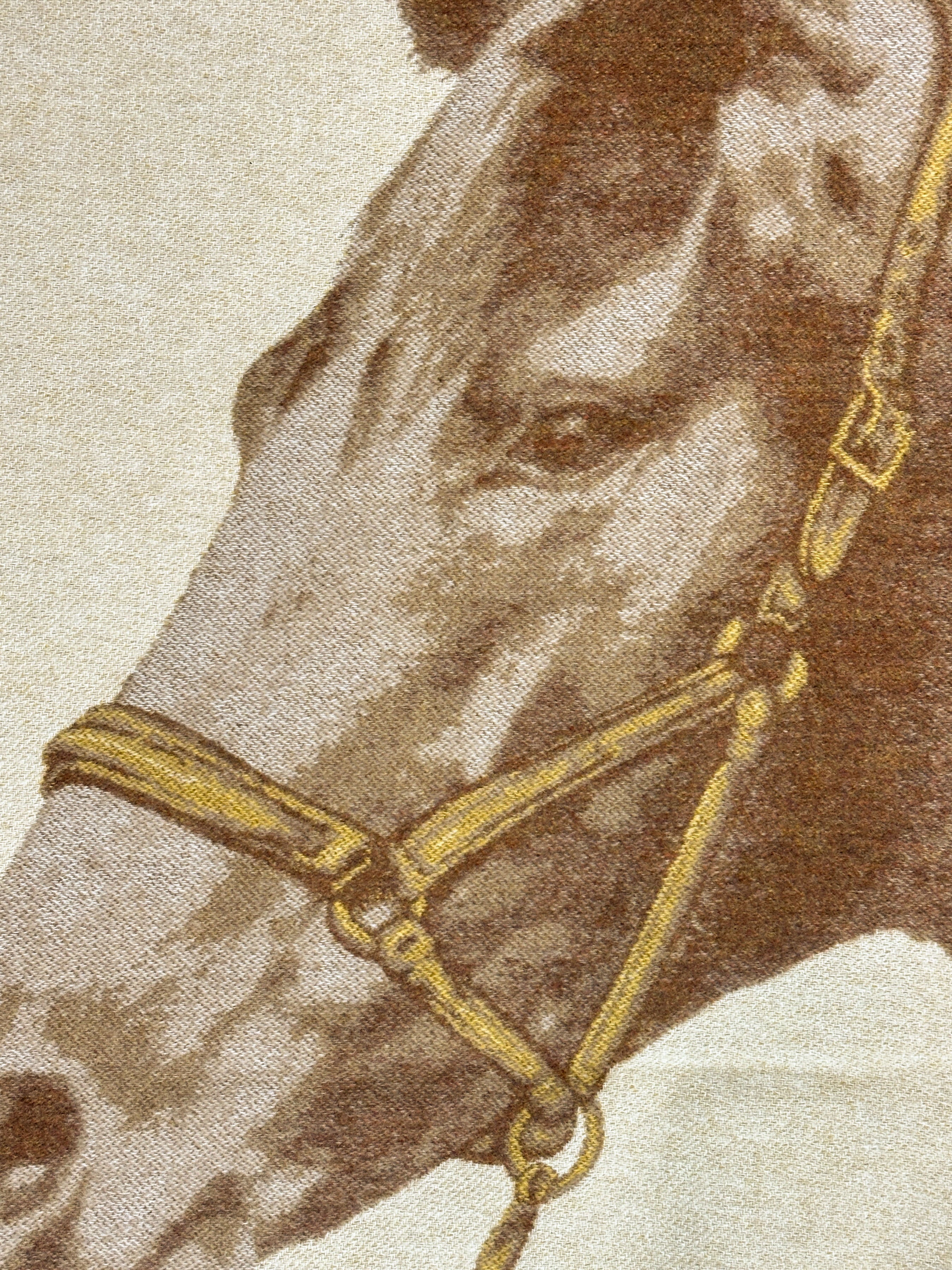 Hermès Cheval Talaria Cashmere Blanket