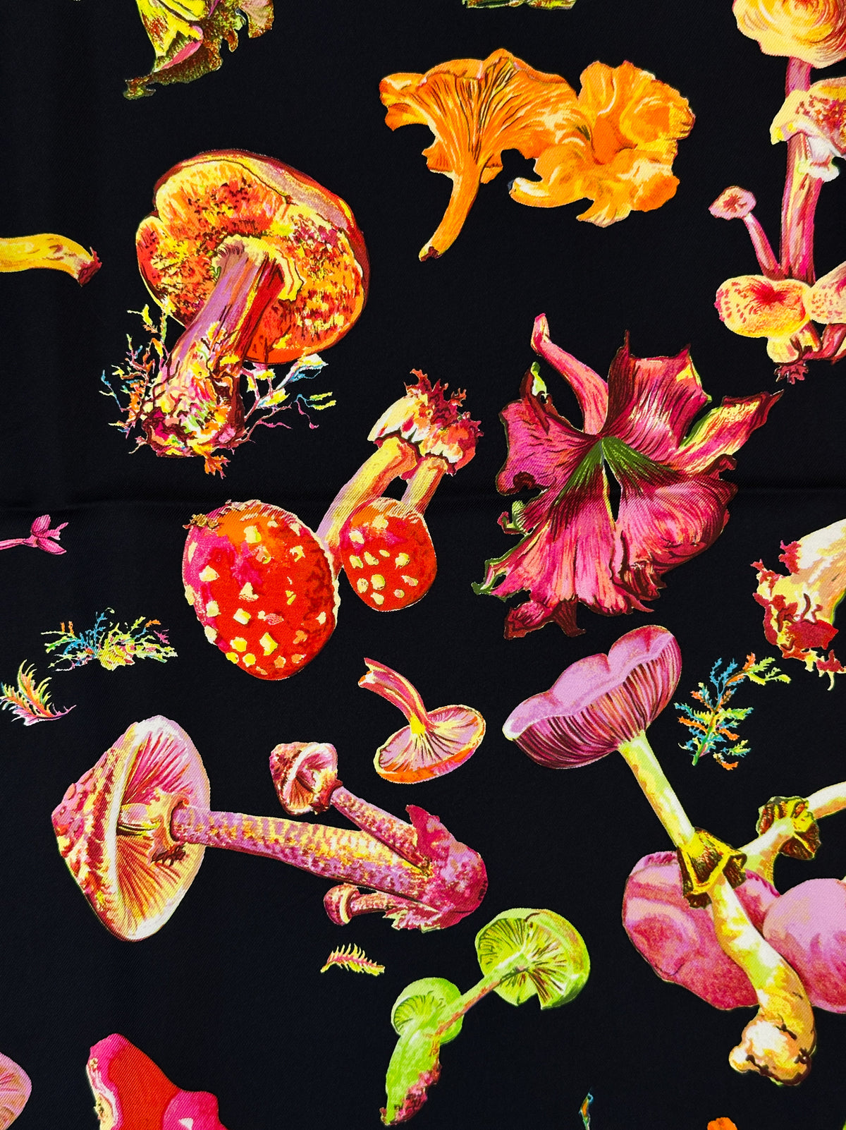 Hermès Champignons 90