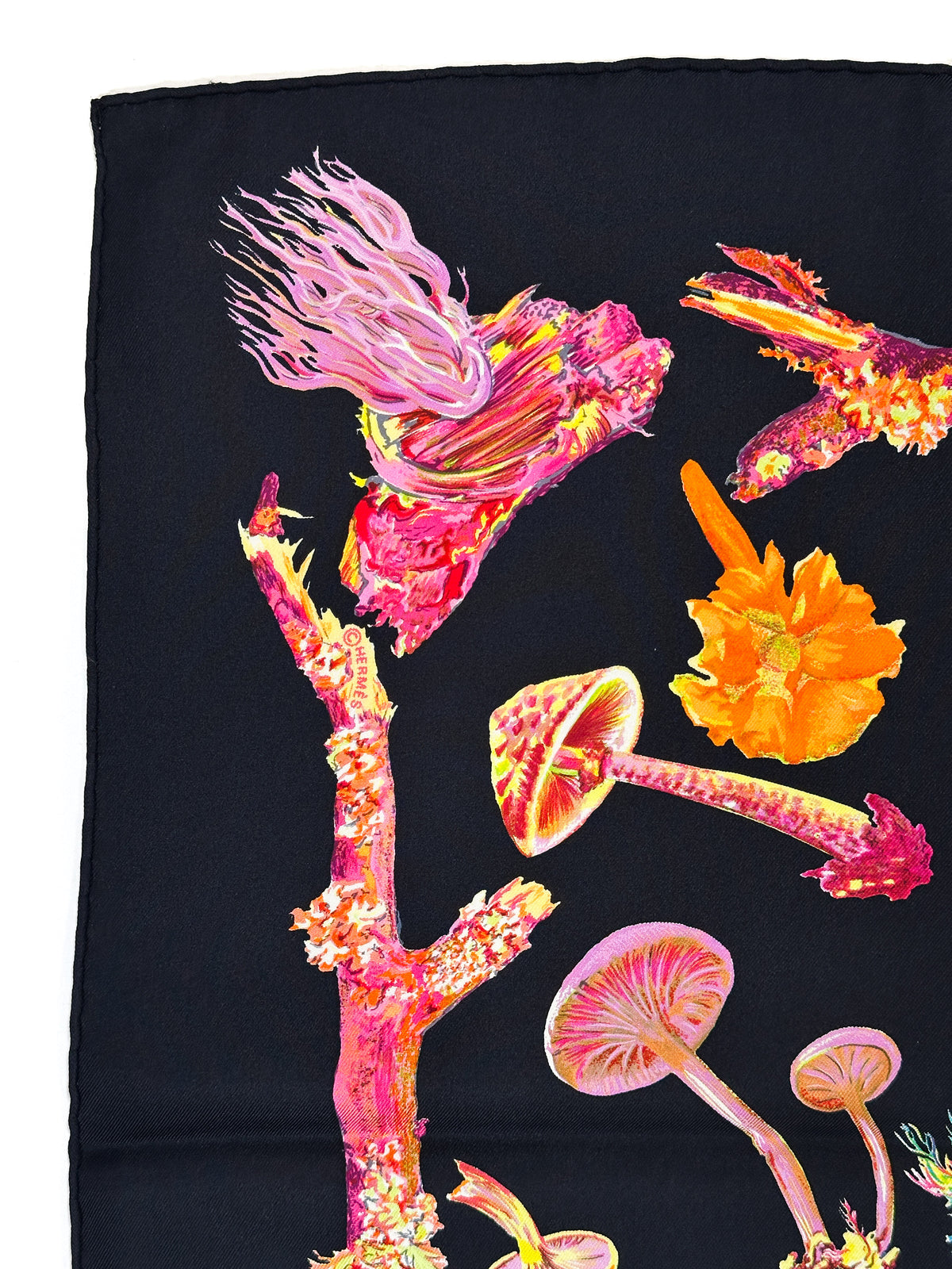Hermès Champignons 90