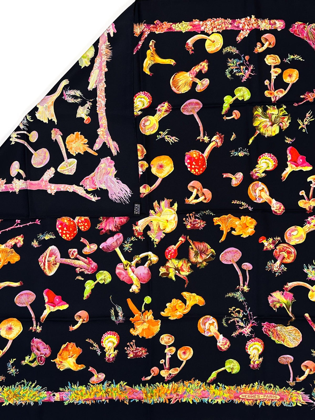 Hermès Champignons 90
