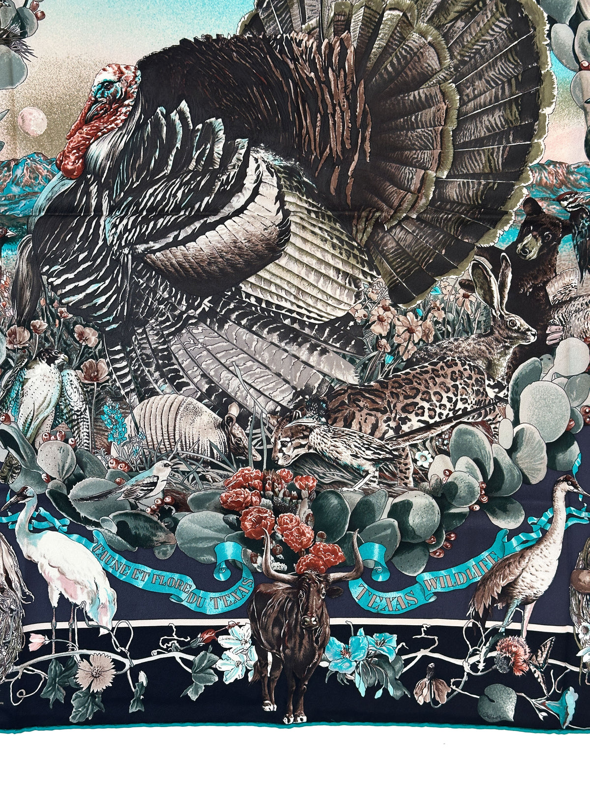 Hermès Faune et Flore du Texas 70