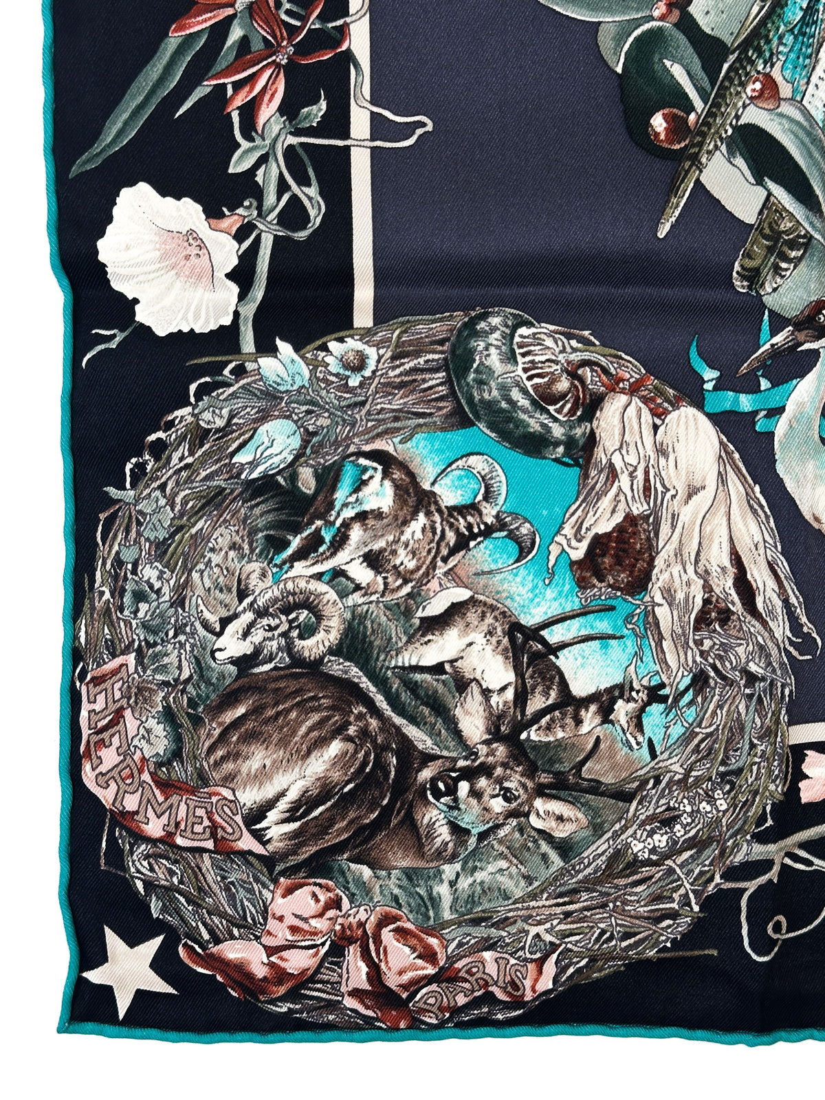 Hermès Faune et Flore du Texas 70