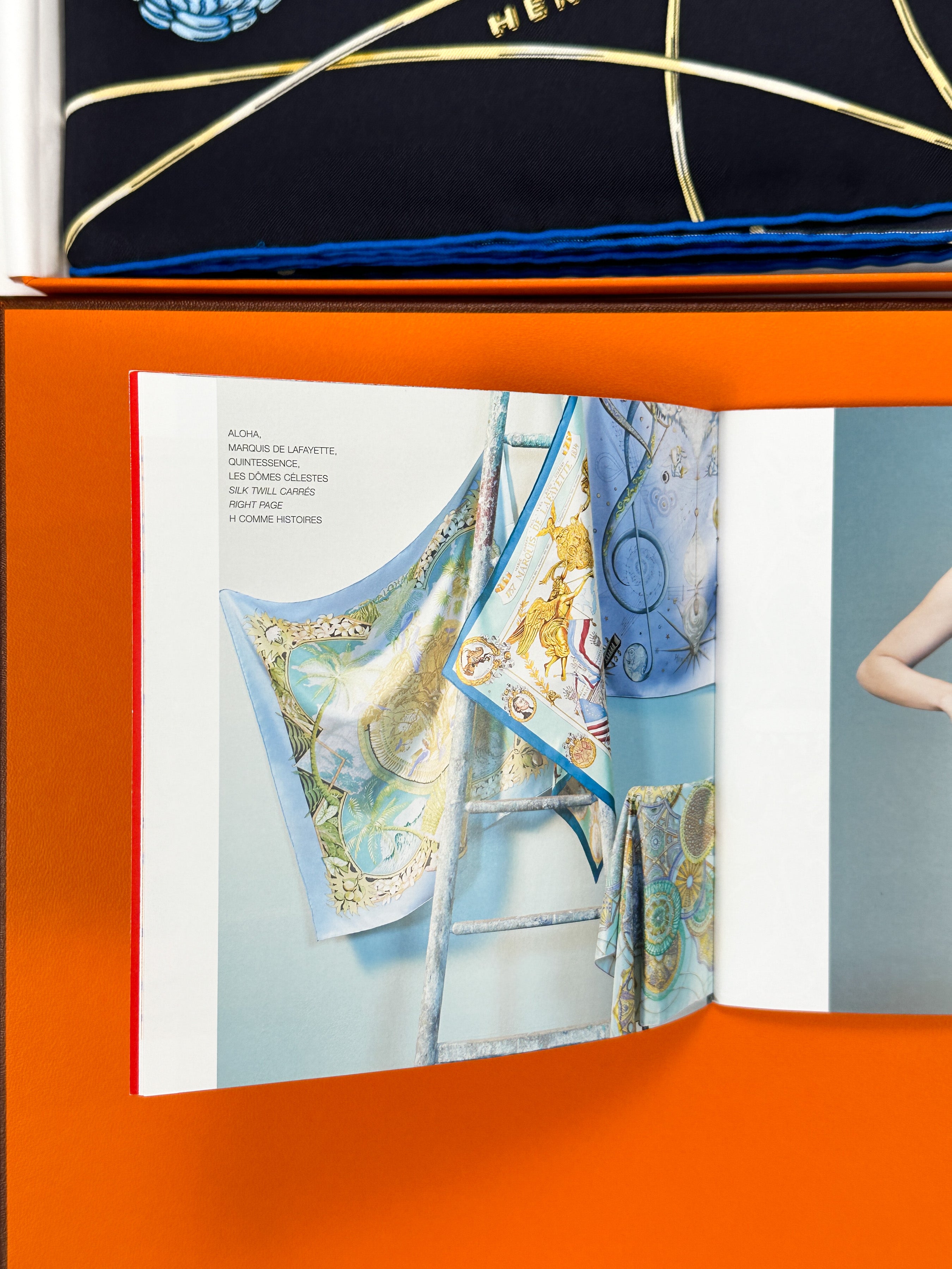 Hermès Les Dômes Célestes 90