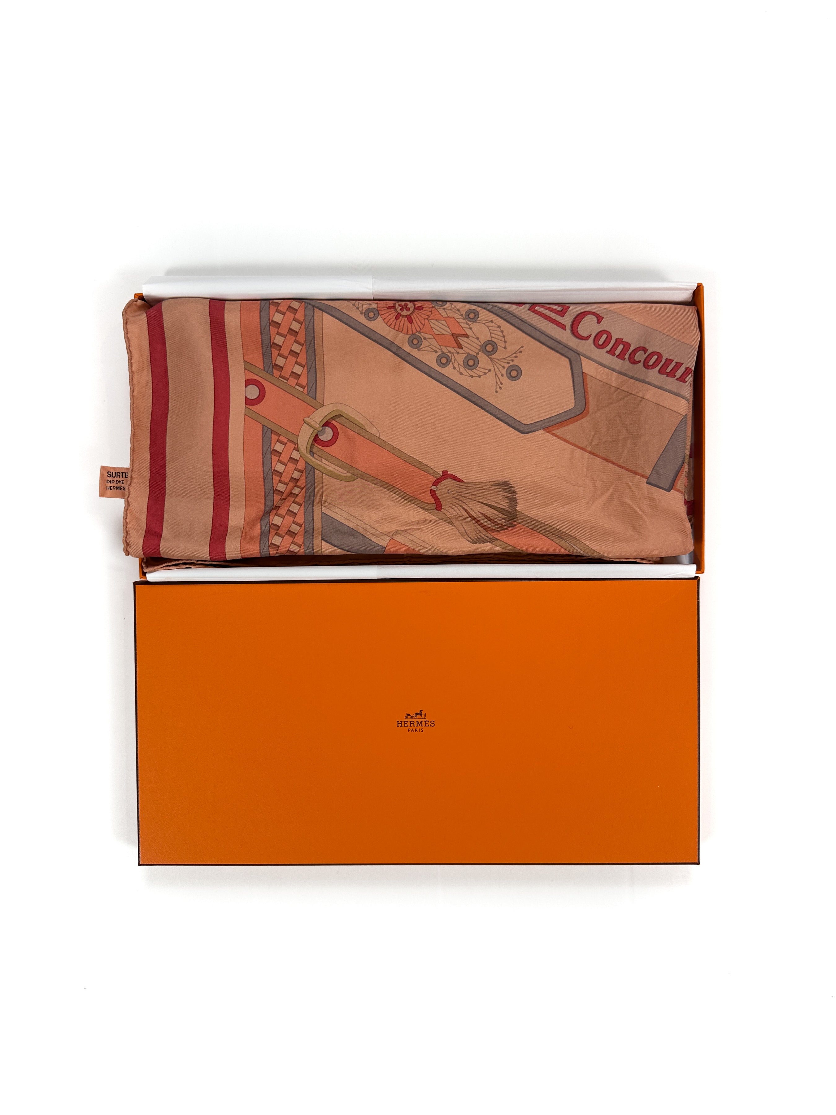 Hermès Concours d'étriers Dip Dye Silk 140