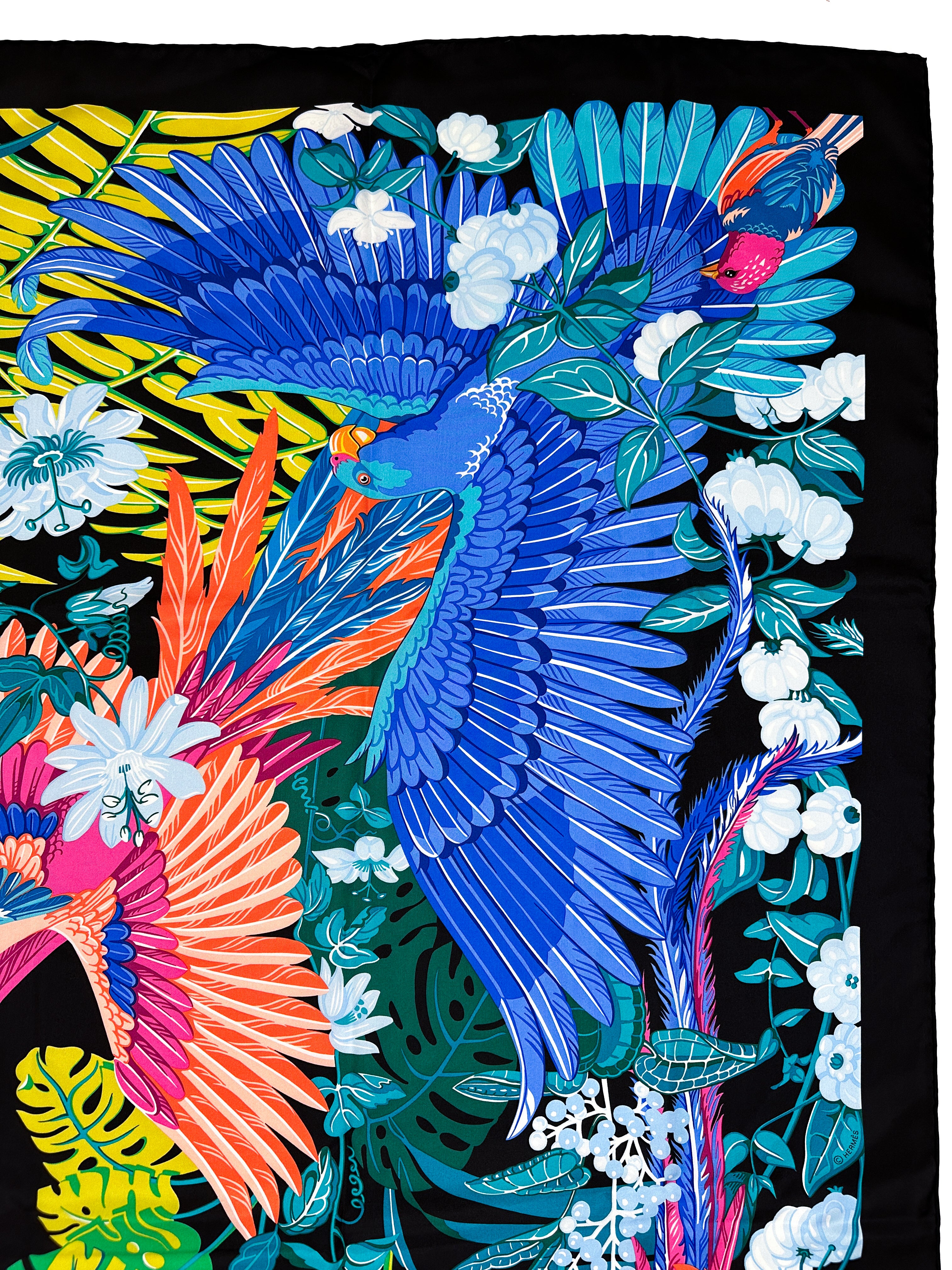 Hermès Carnaval des Oiseaux Silk 140