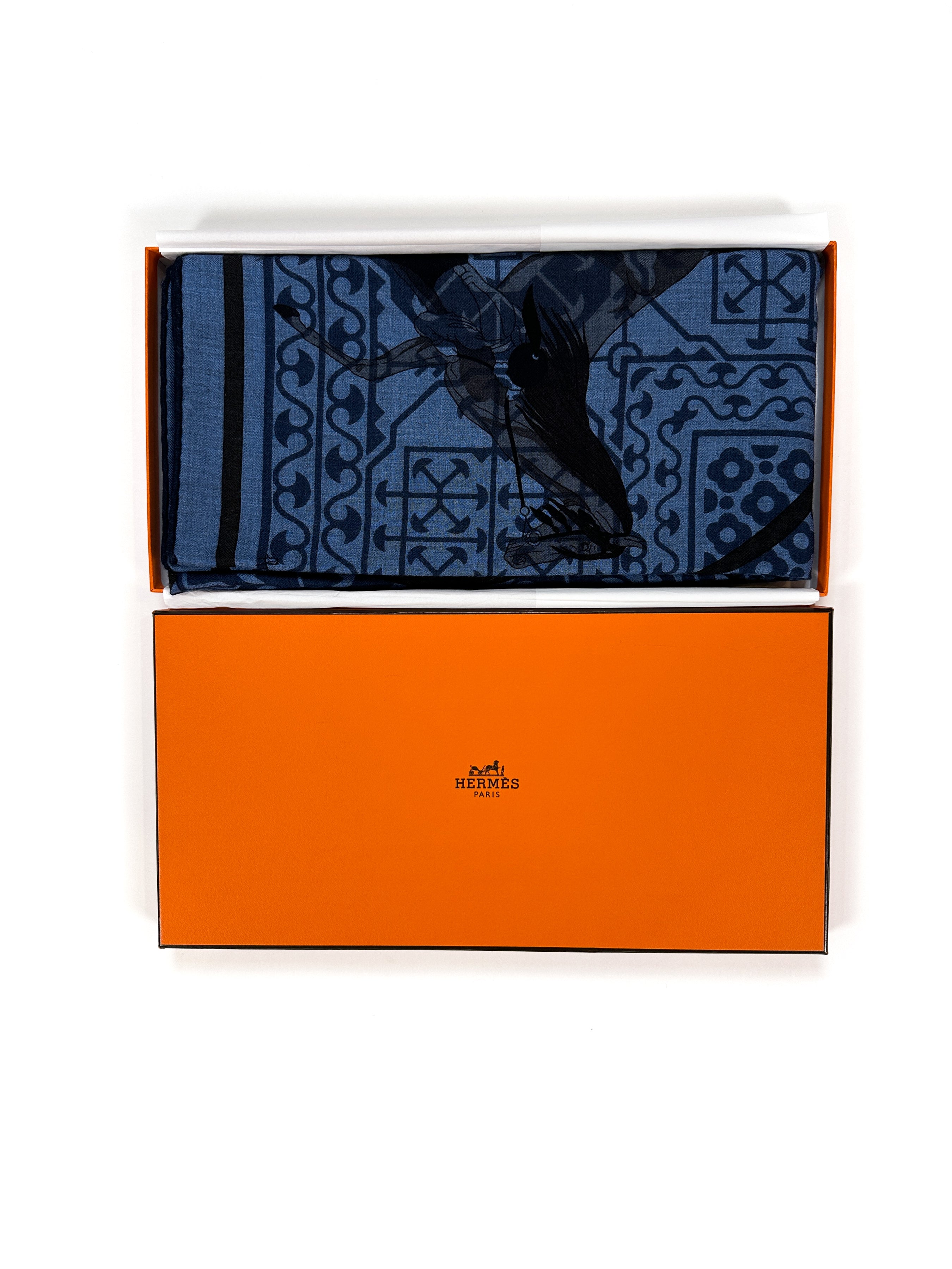 Hermès Imprimeur Fou Charabia Cashmere Silk 140