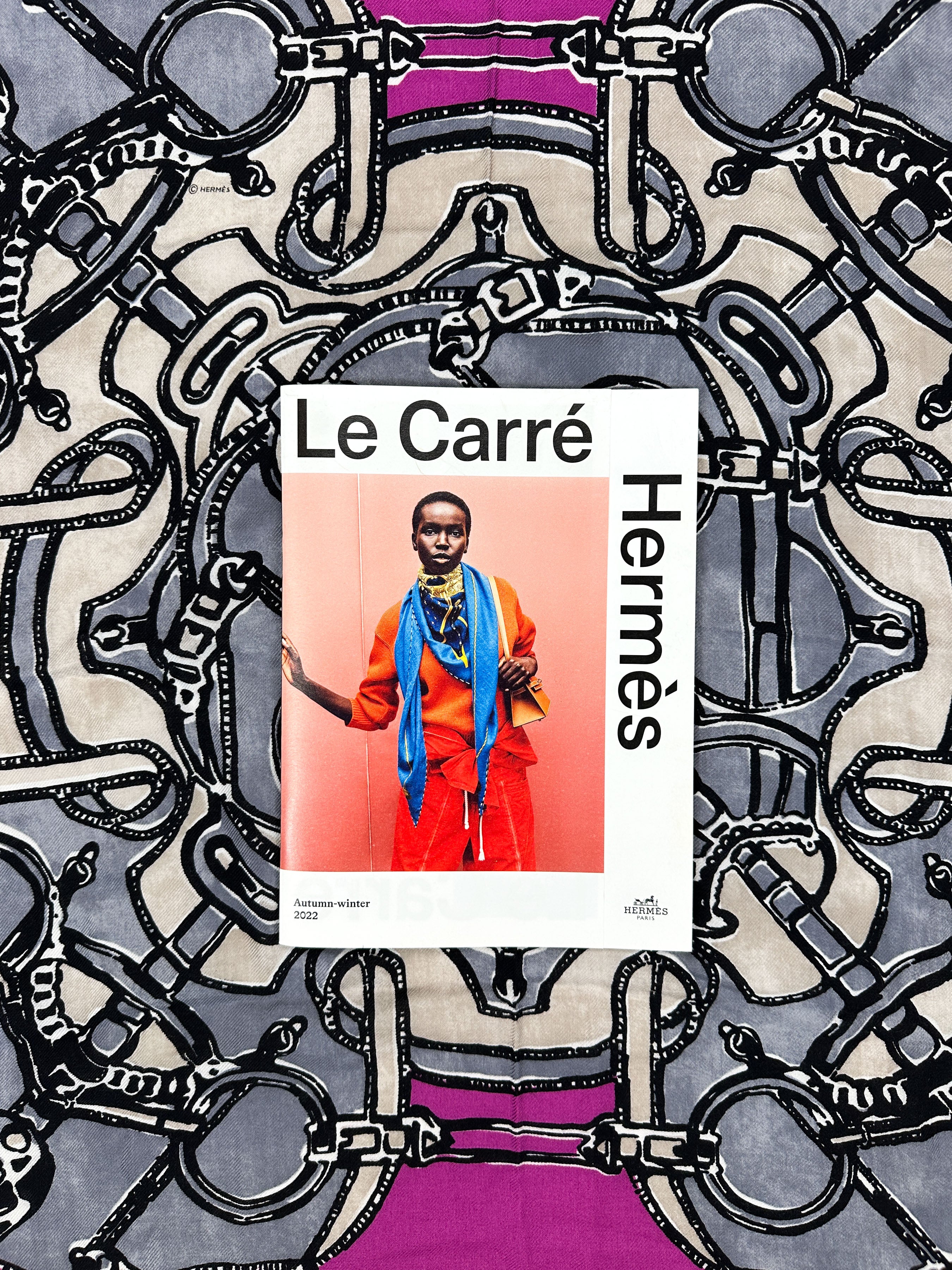 Hermès Eperon d'Or et de Couleurs Cashmere Silk 65