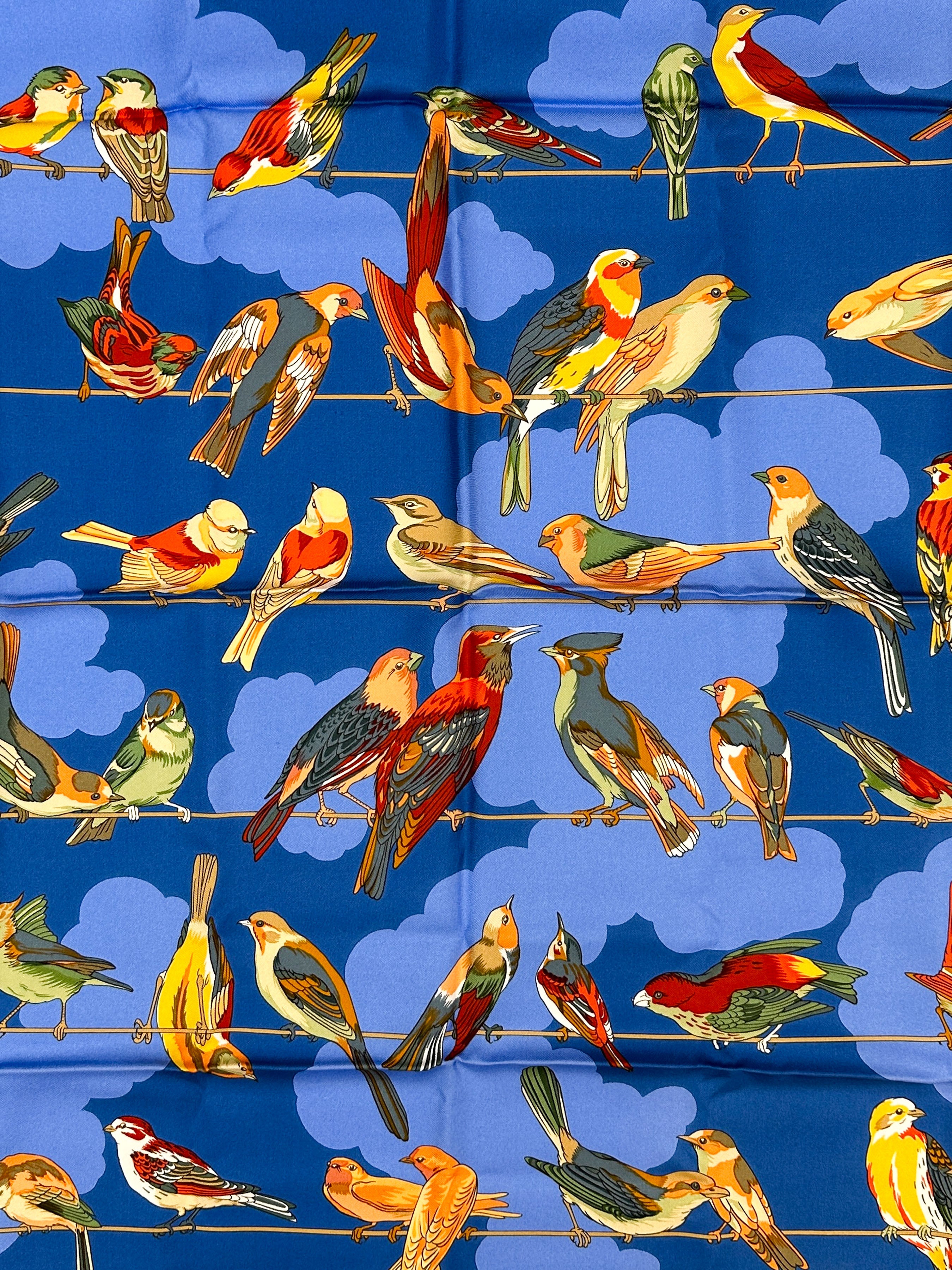 Hermès Les Oiseaux des Champs et des Bois 90