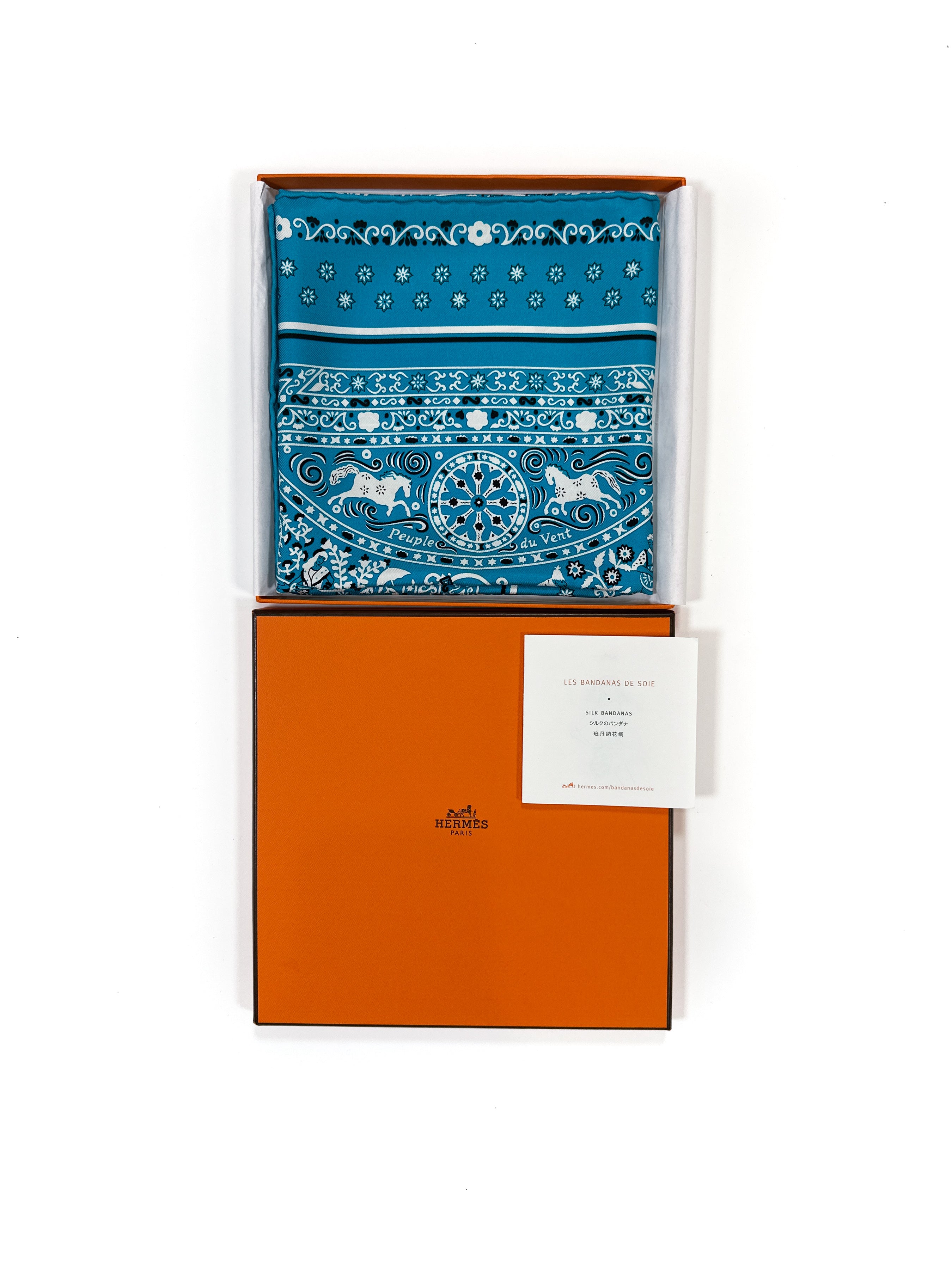 Hermès Peuple Du Vent Bandana 55