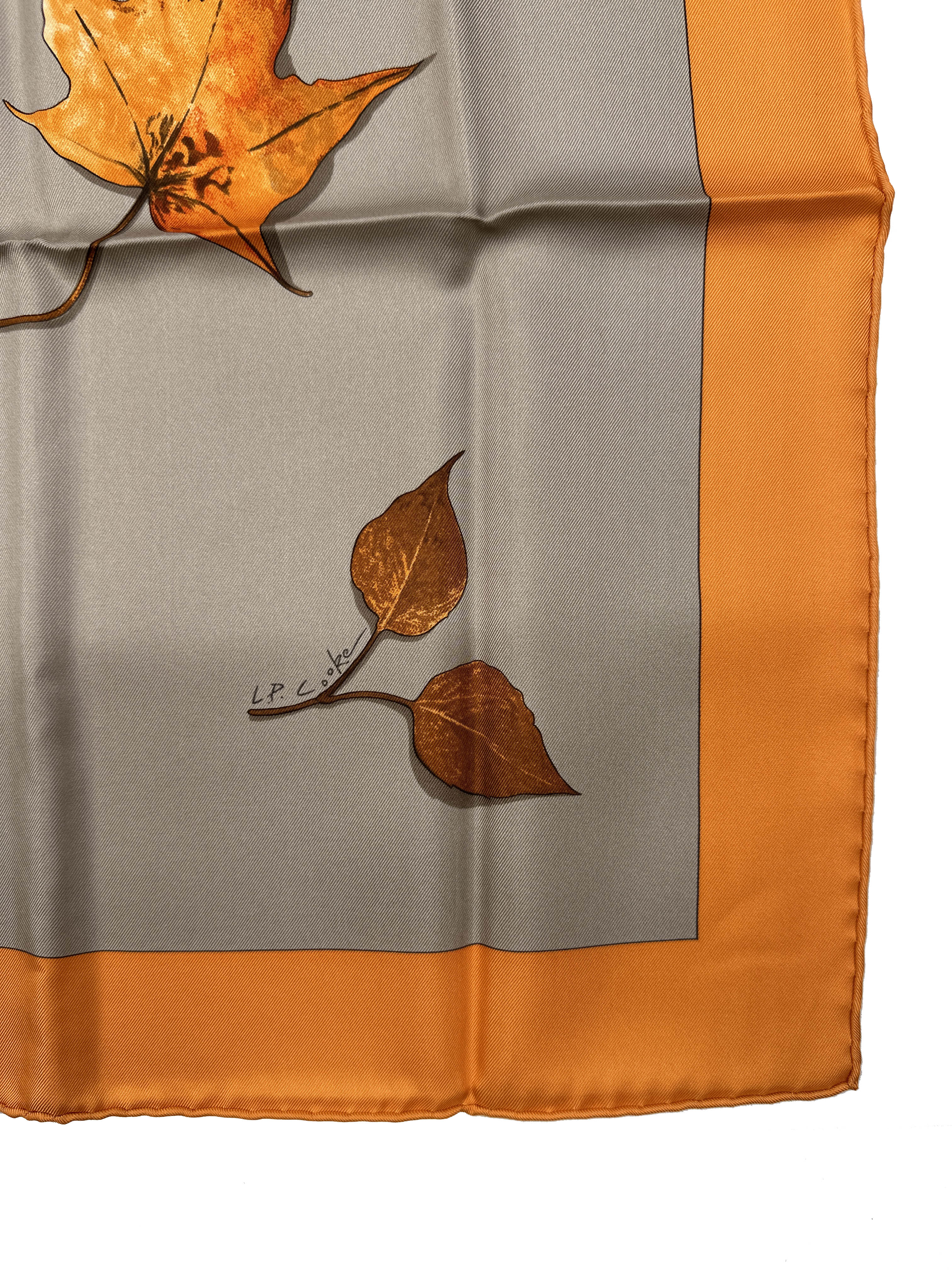 Hermès A Walk In The Park 90