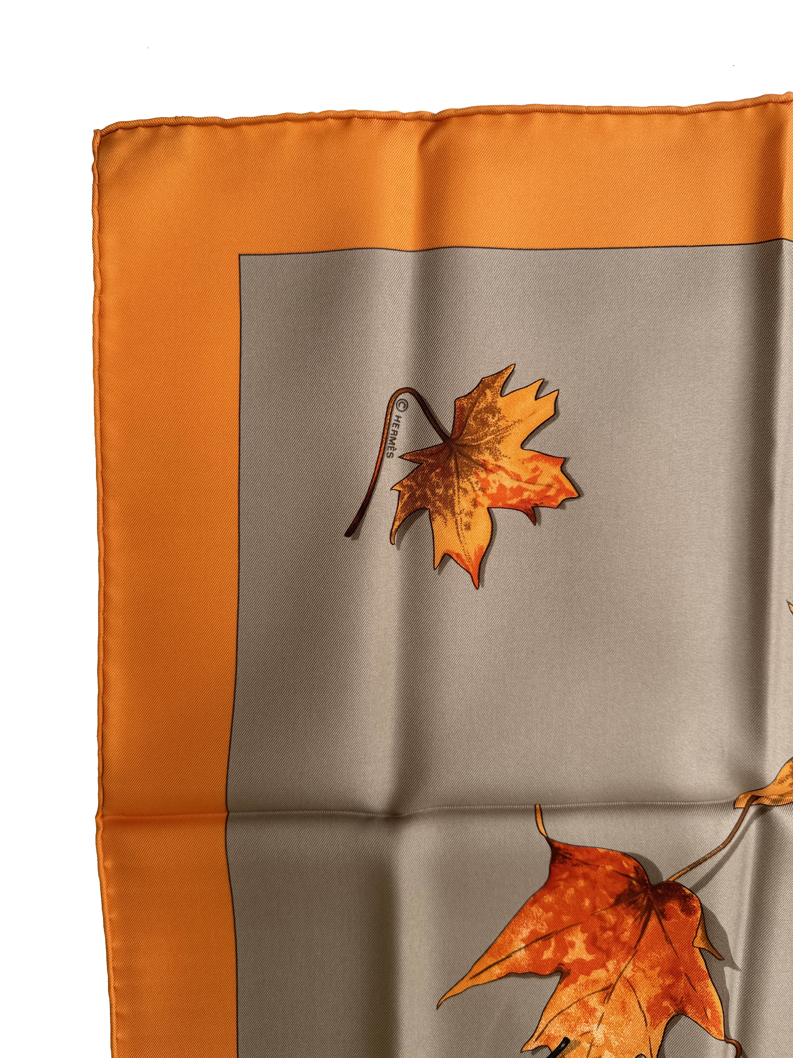 Hermès A Walk In The Park 90