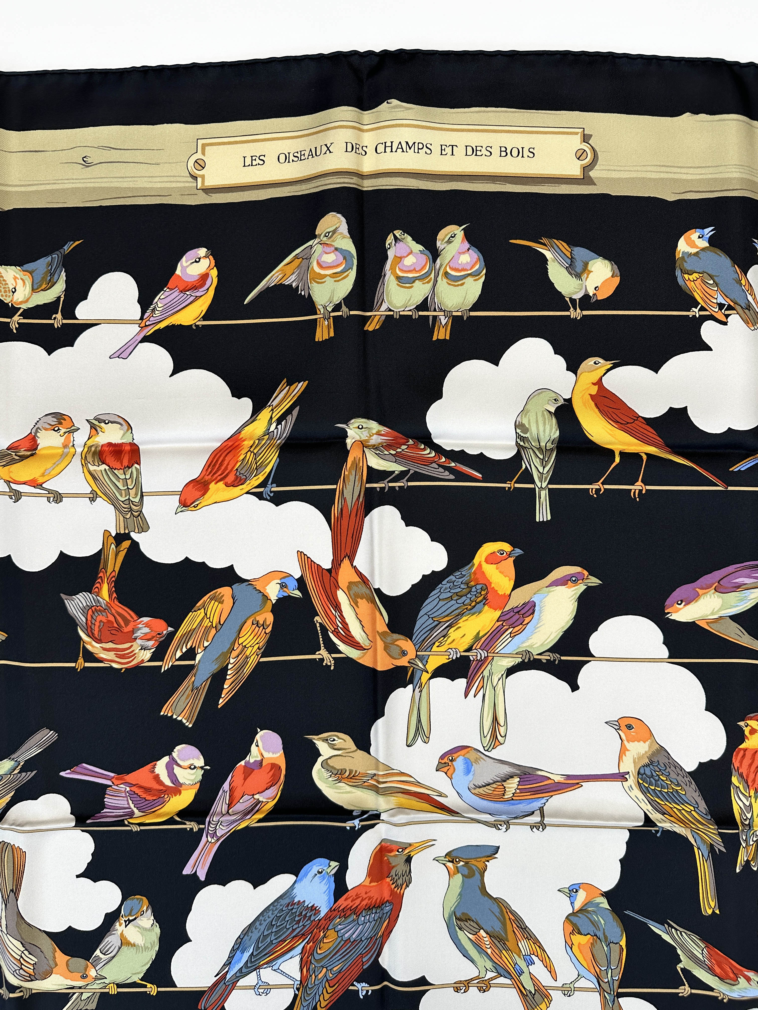 Hermès Les Oiseaux des Champs et des Bois 90