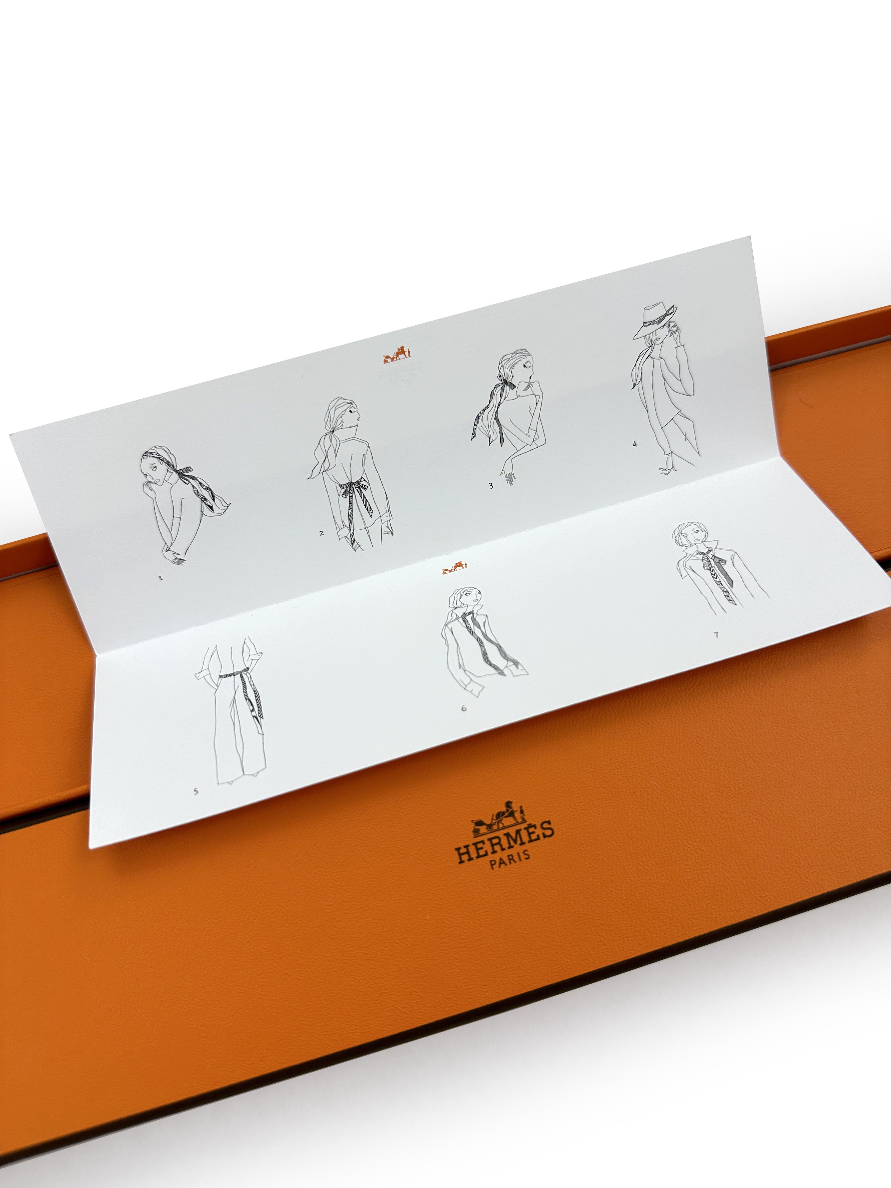 Hermès Jeu De Soie Twillon