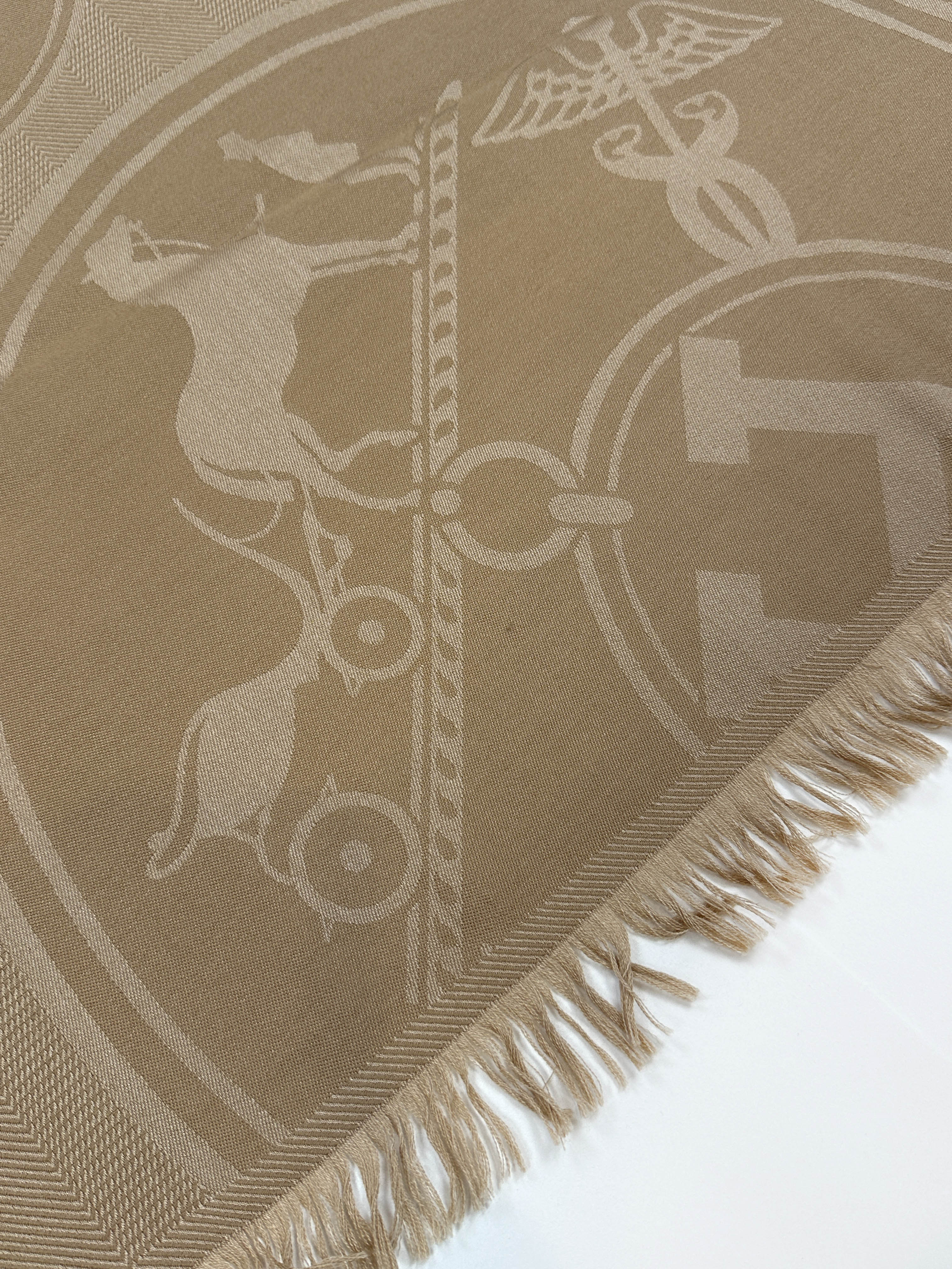 Hermès New Libris Cashmere Silk Stole