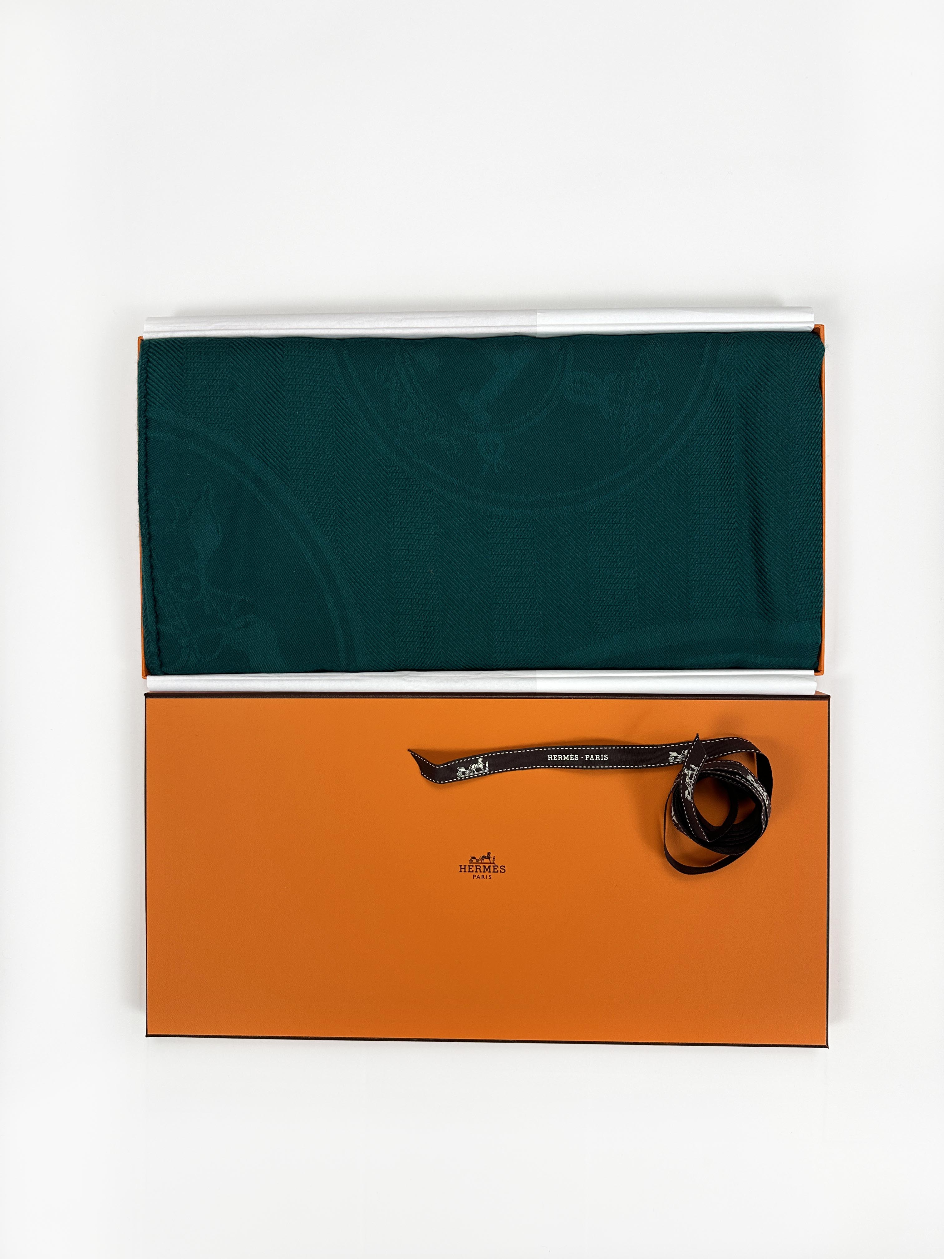 Hermès New Libris Cashmere Silk Stole