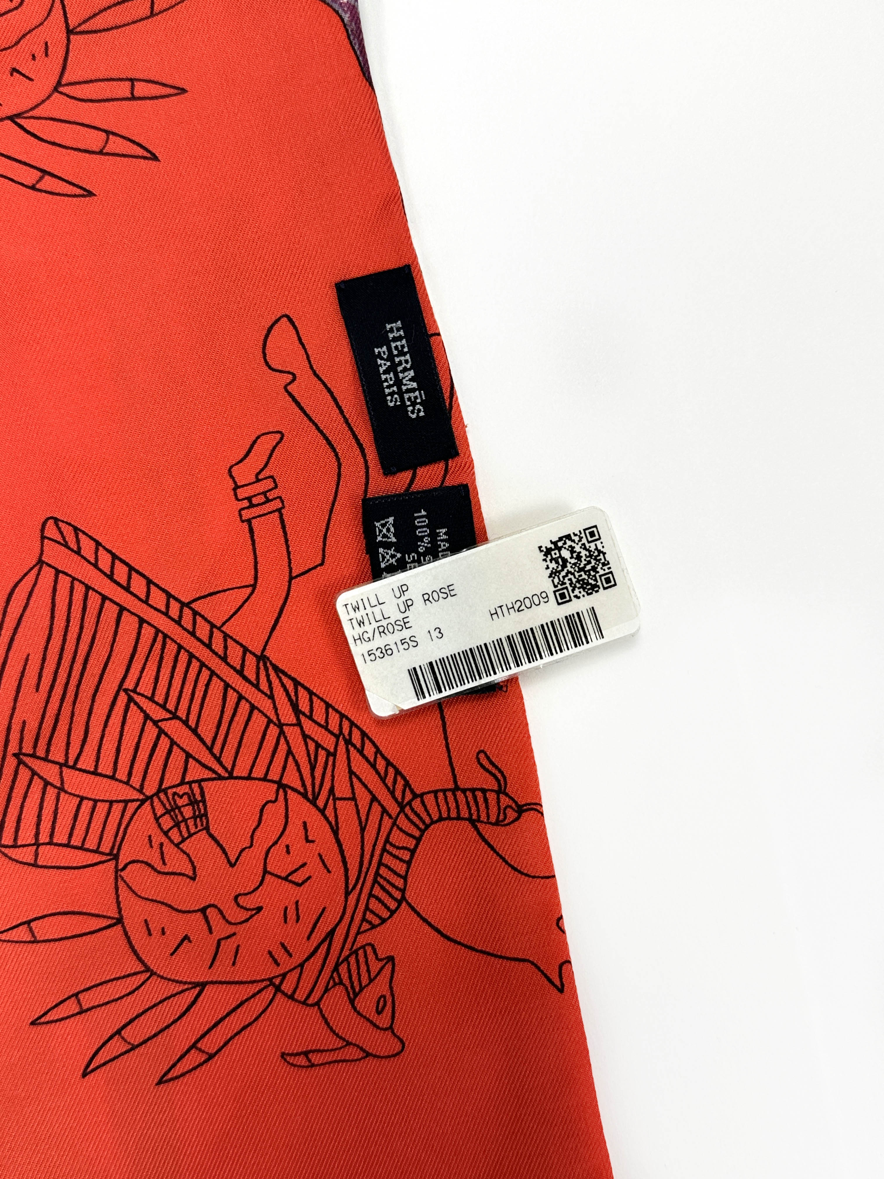 Hermès Pani La Shar Pawnee Washed Silk Twill Up