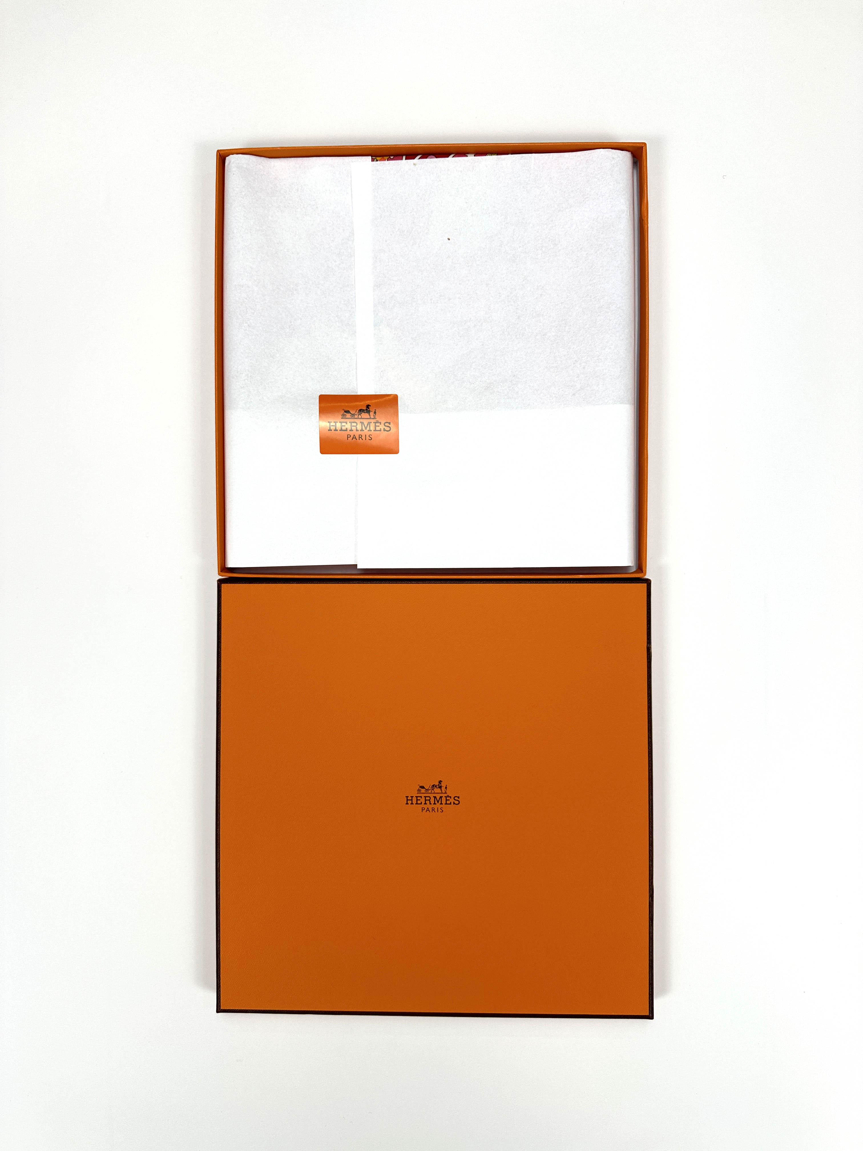 Hermès Peuple Du Vent 90