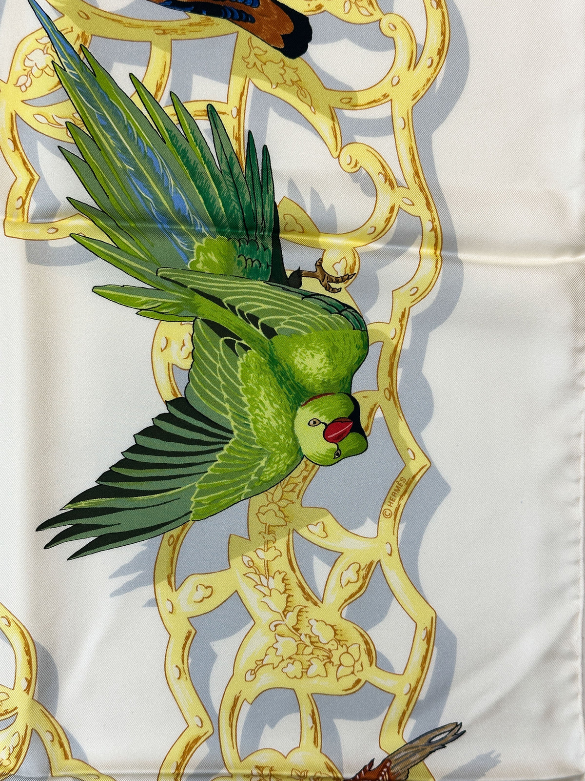 Hermès Oiseaux de L'Inde et de L'Himalaya 90