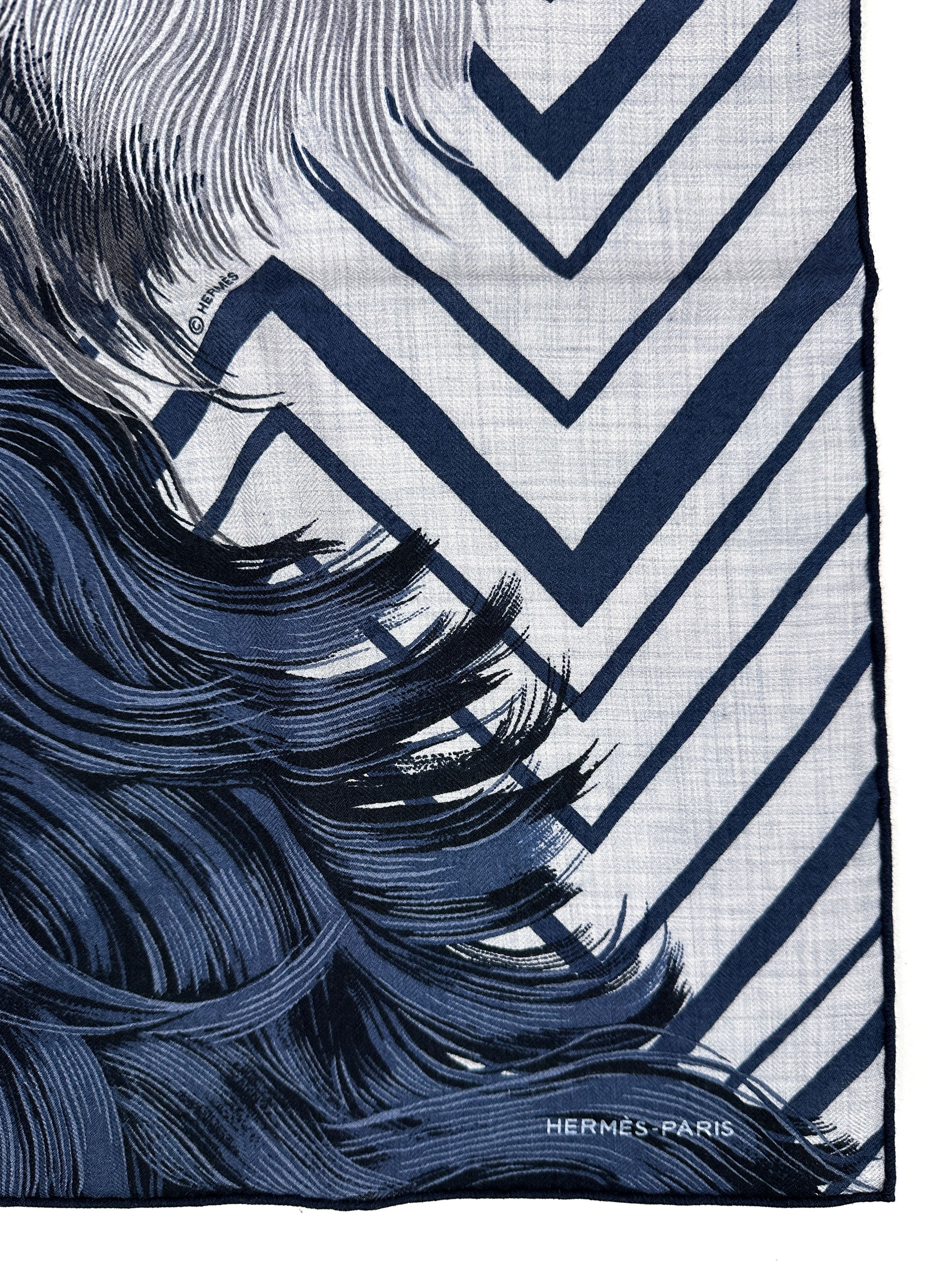 Hermès Roaaaaar! Cashmere Silk 100