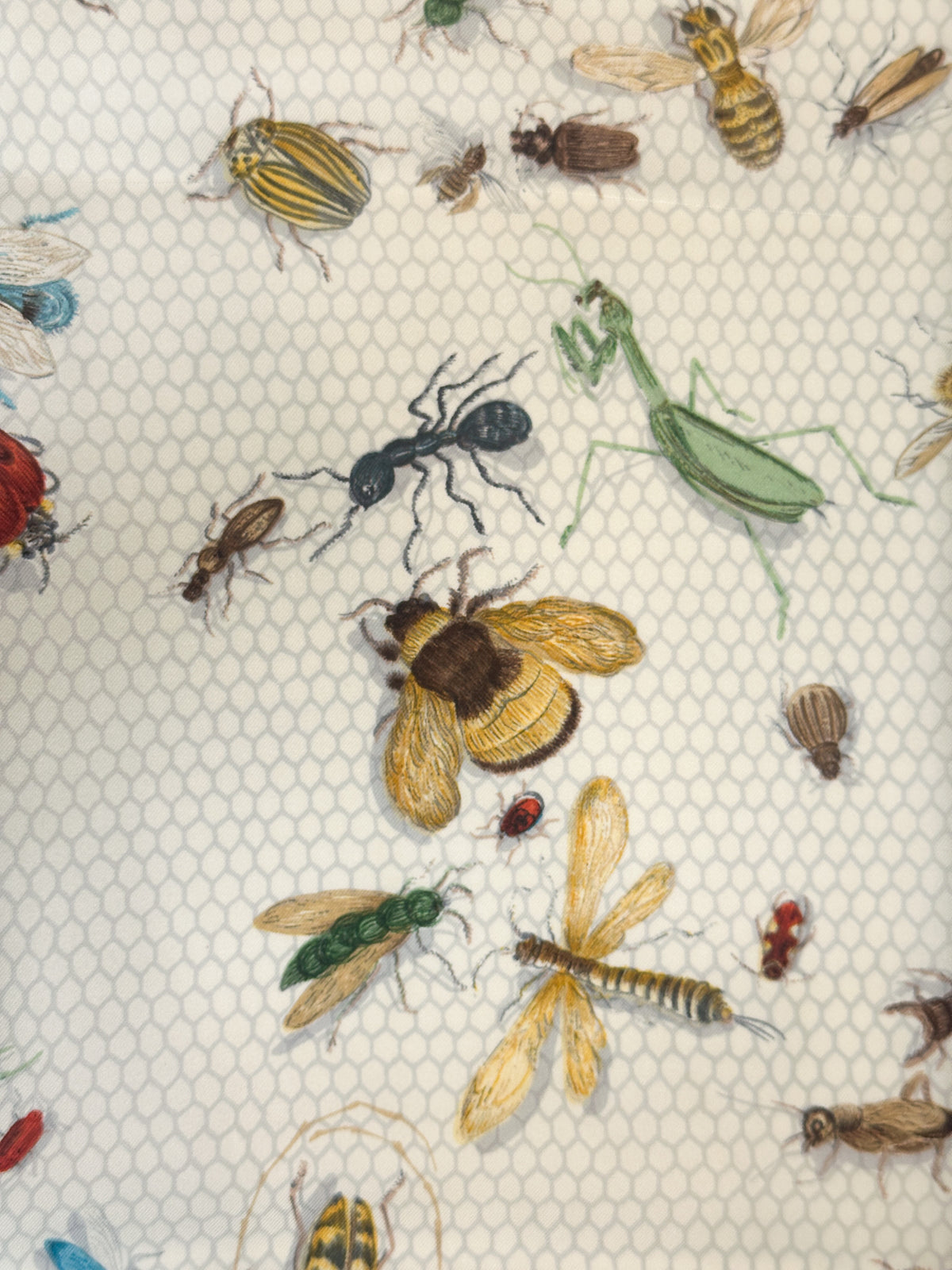 Hermès Les Insects 90