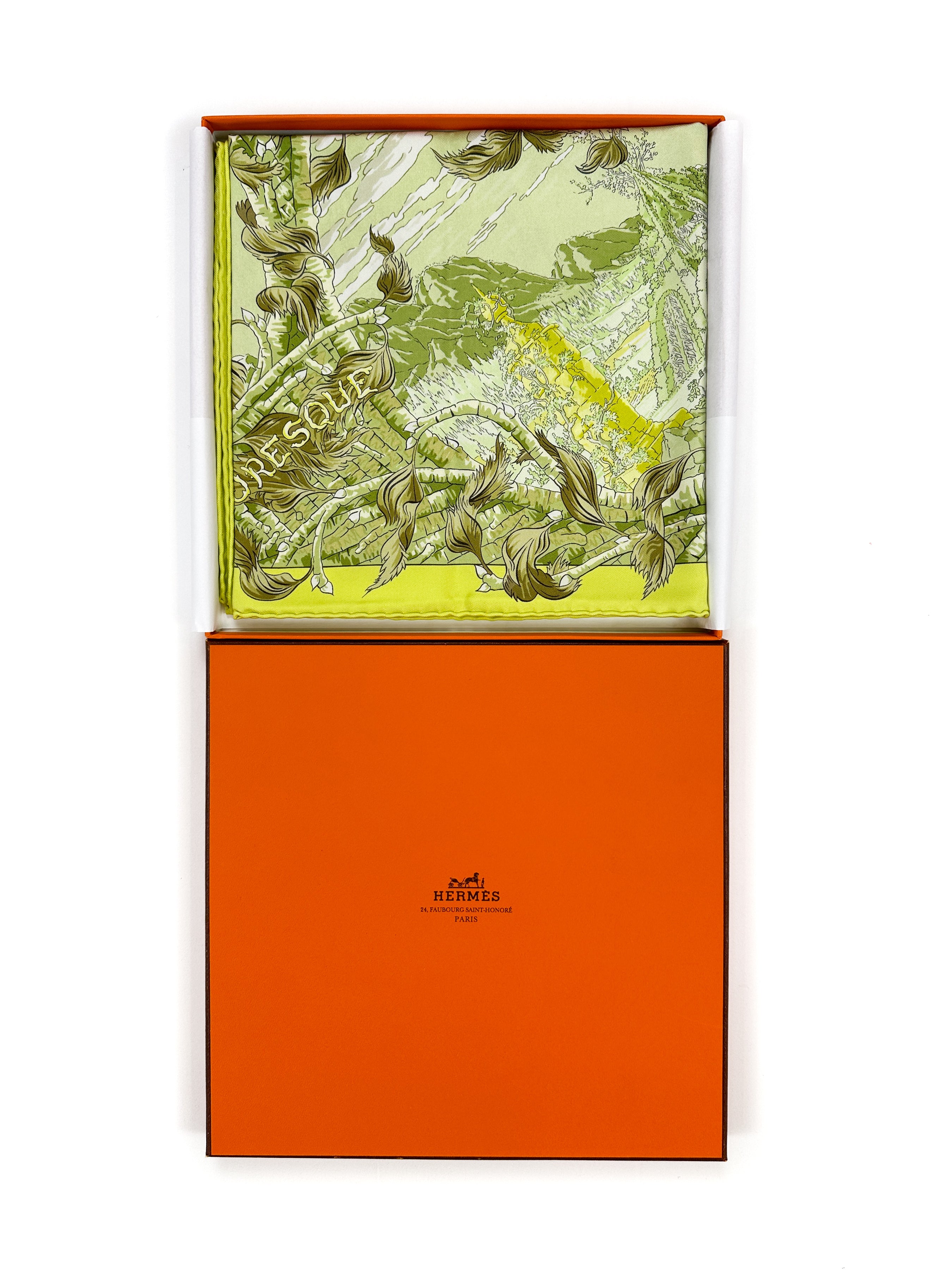 Hermès Fantaisie Pittoresque 90