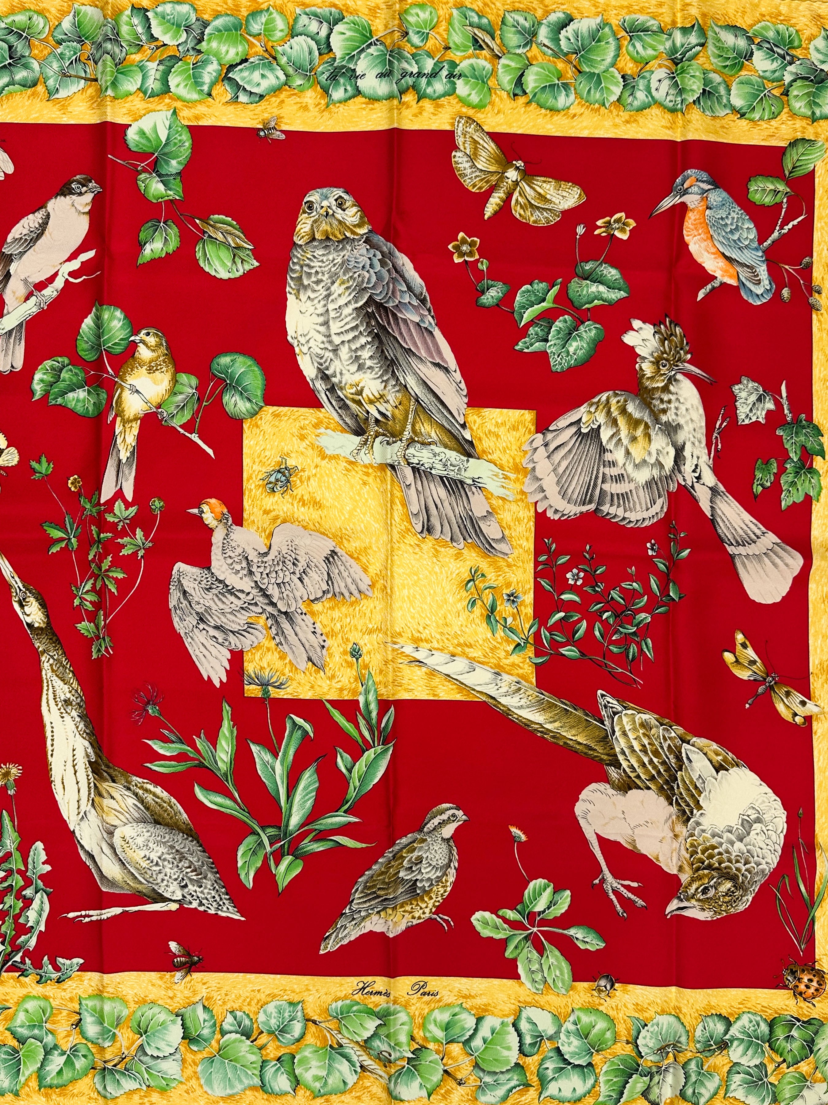 Hermès La Vie au Grand Air 90