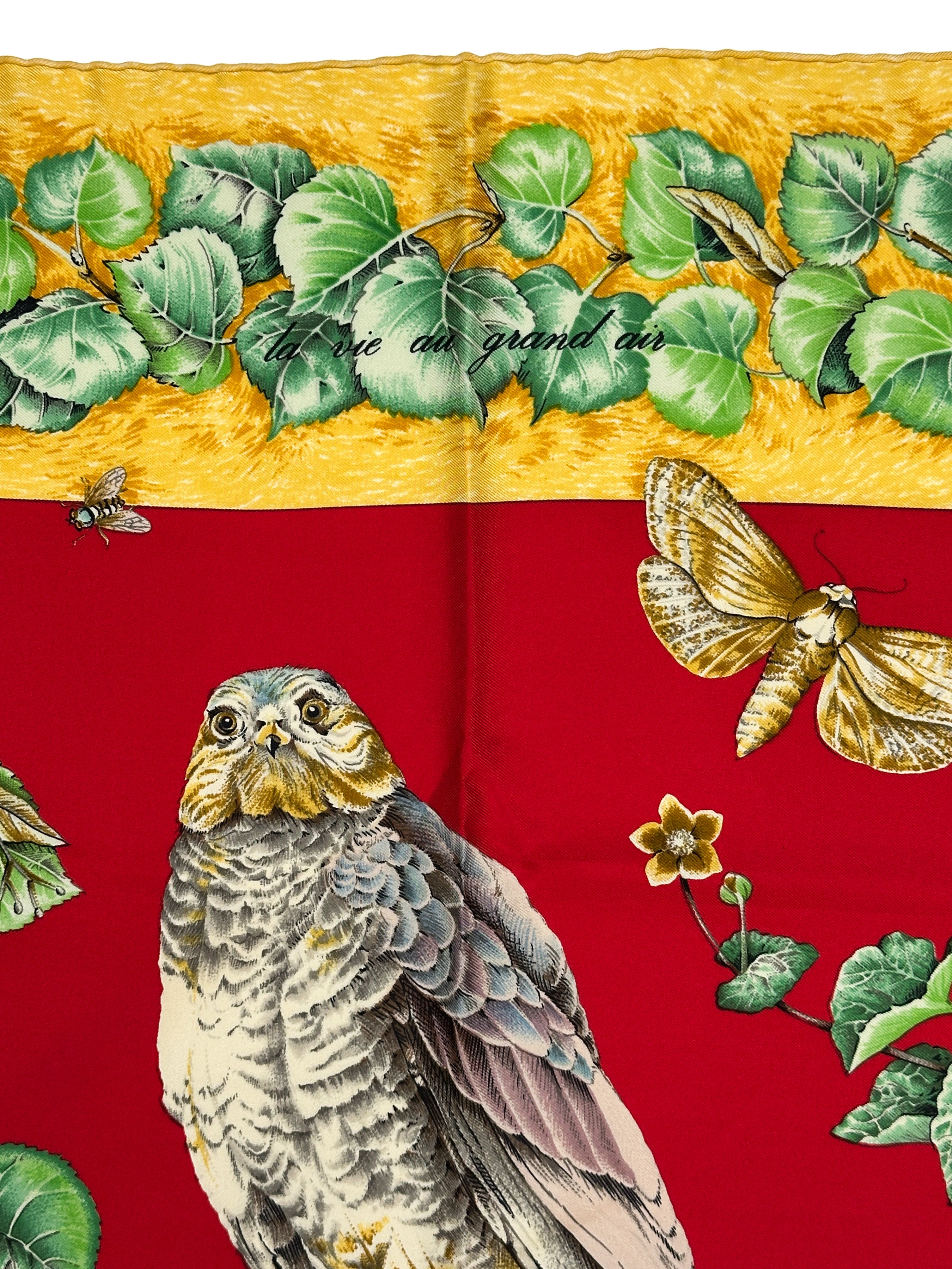 Hermès La Vie au Grand Air 90