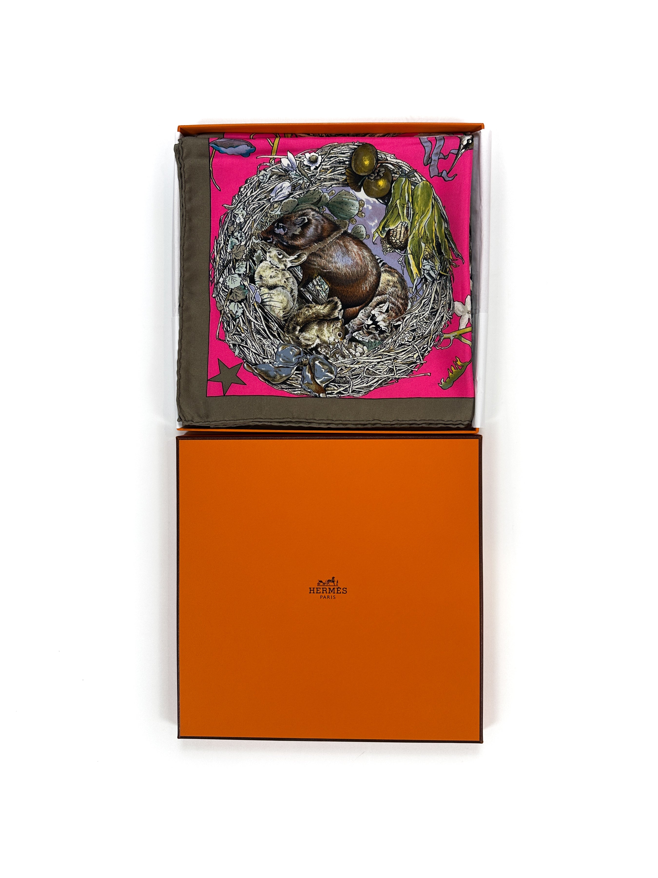 Hermès Faune et Flore du Texas 90