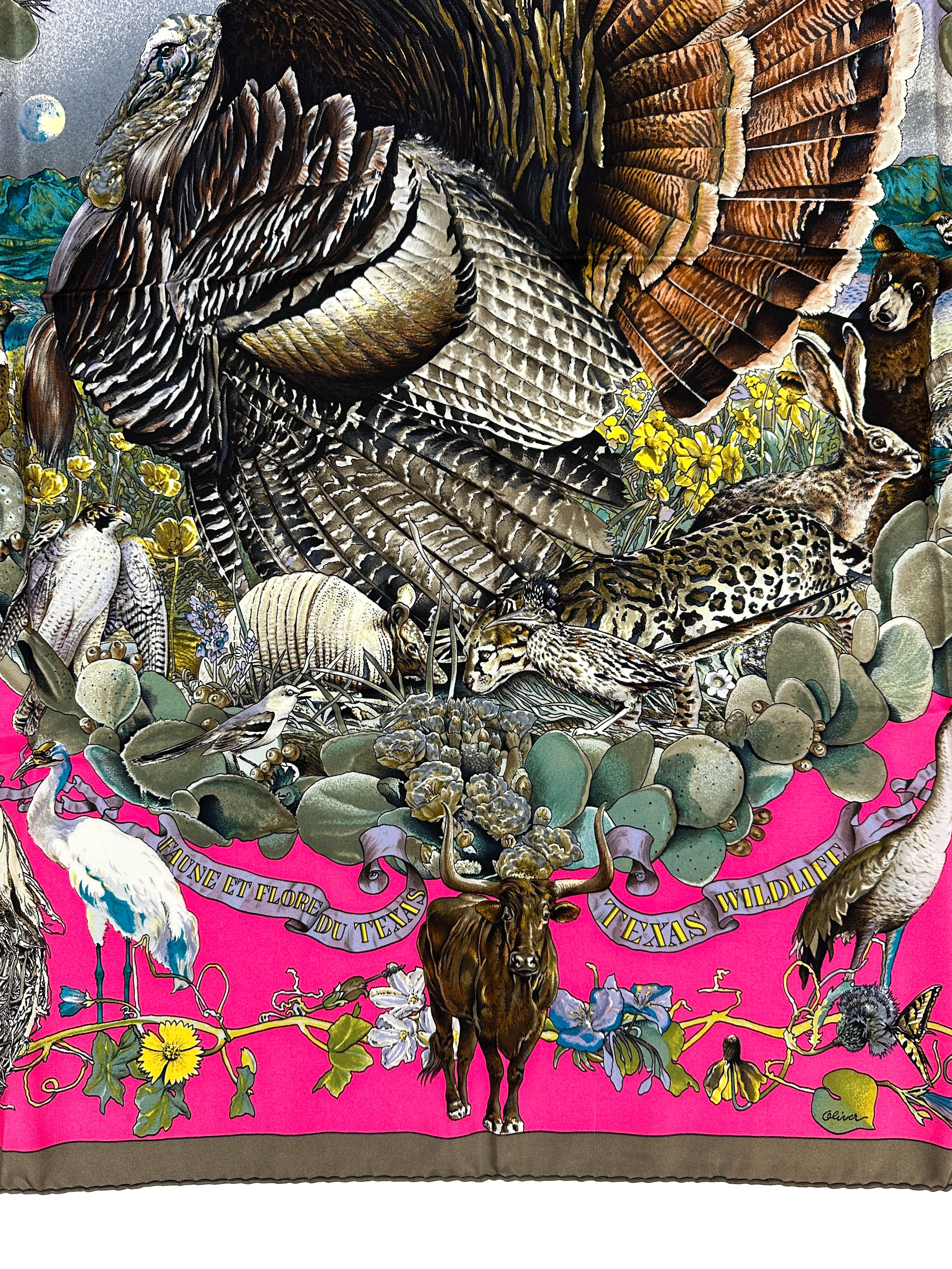Hermès Faune et Flore du Texas 90