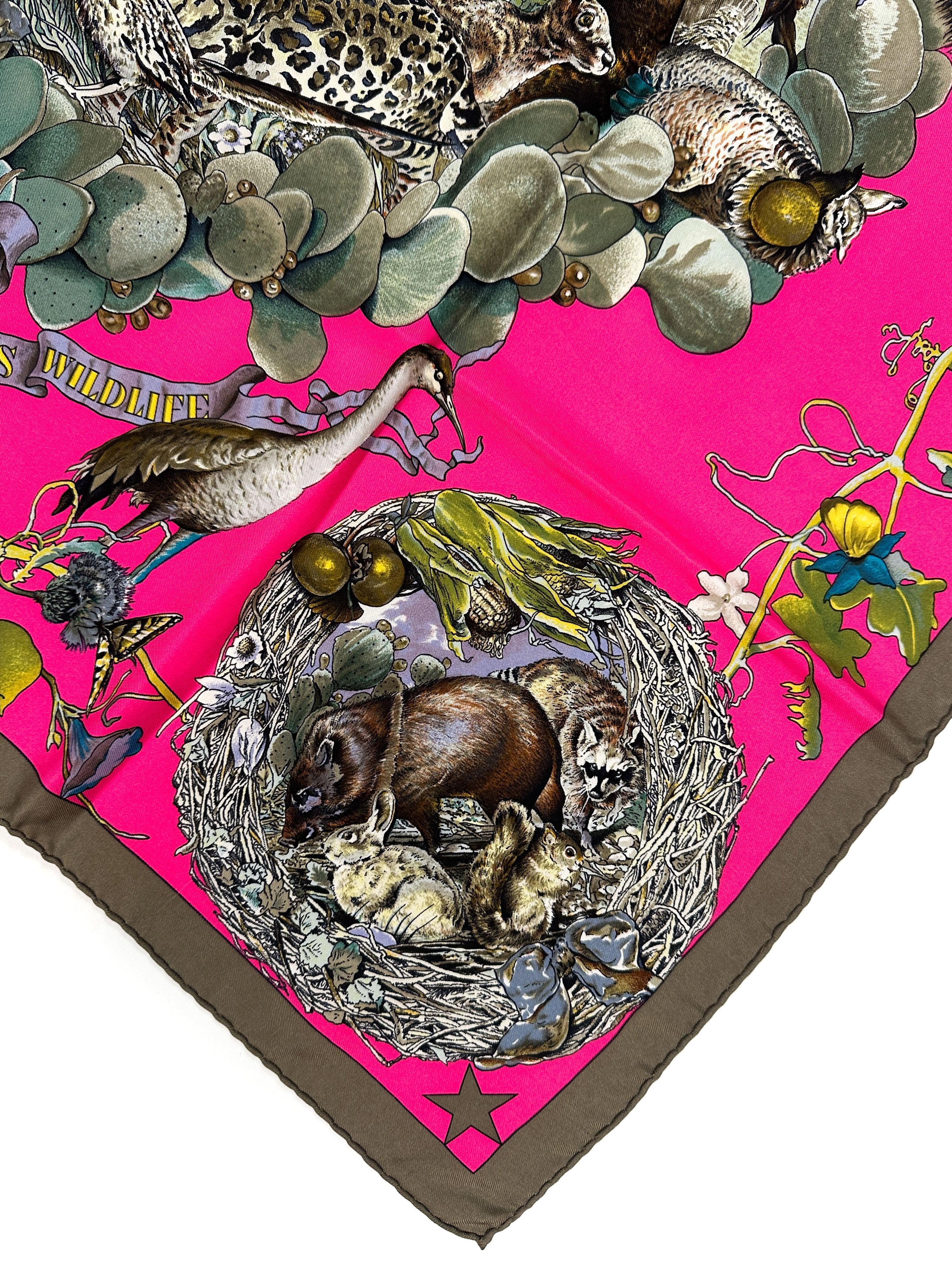 Hermès Faune et Flore du Texas 90