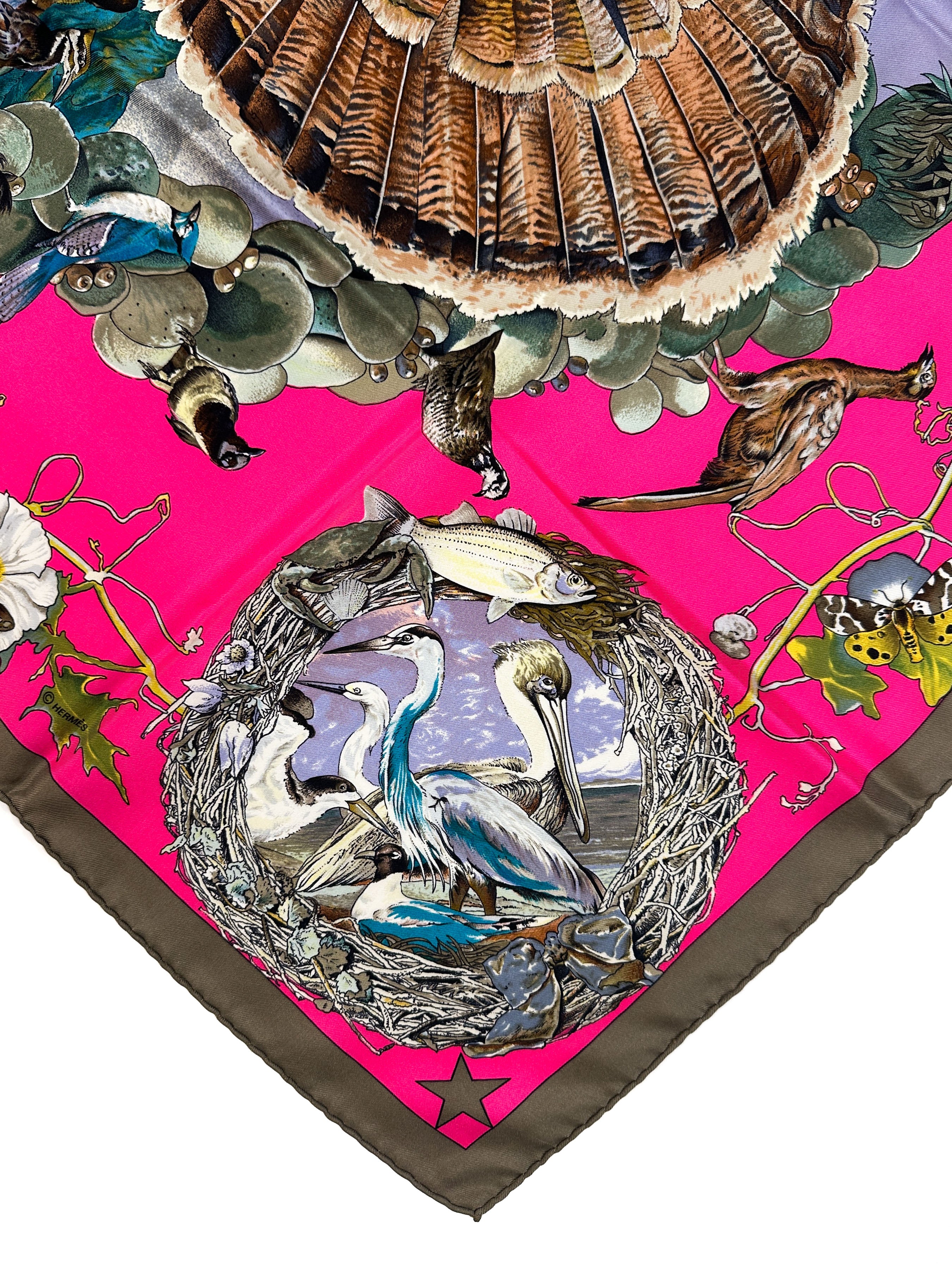 Hermès Faune et Flore du Texas 90